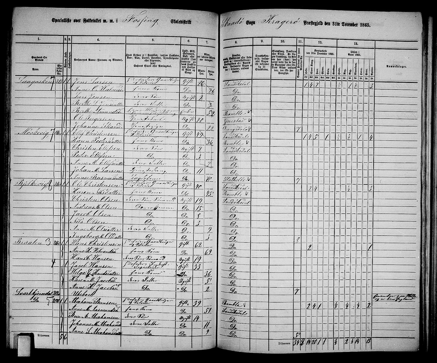 RA, 1865 census for Kragerø/Sannidal og Skåtøy, 1865, p. 161