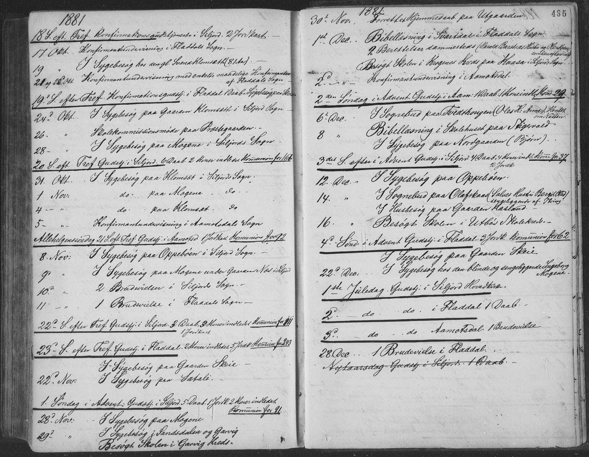 Seljord kirkebøker, SAKO/A-20/F/Fa/L0014: Parish register (official) no. I 14, 1877-1886, p. 485
