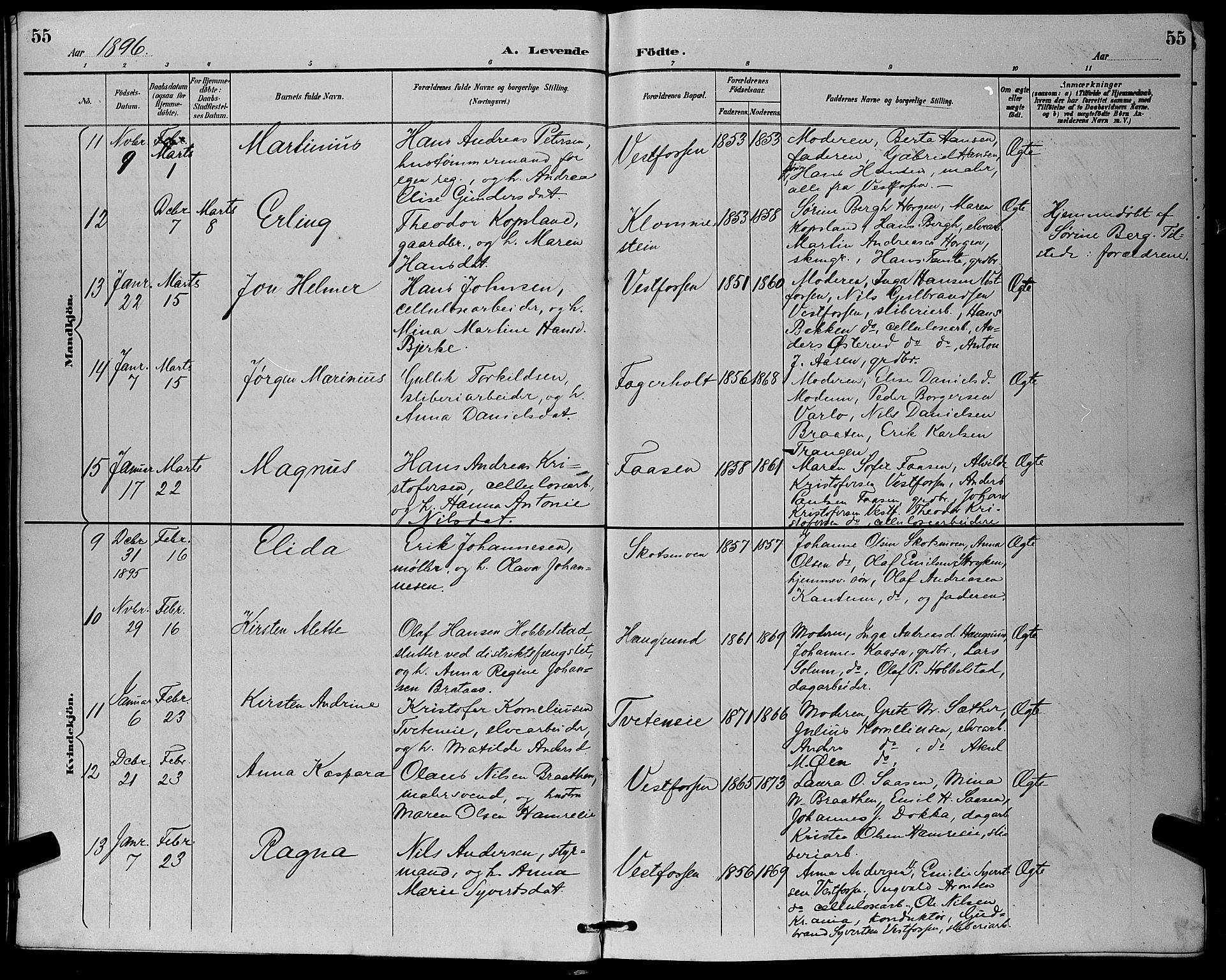 Eiker kirkebøker, SAKO/A-4/G/Ga/L0007: Parish register (copy) no. I 7, 1893-1902, p. 55