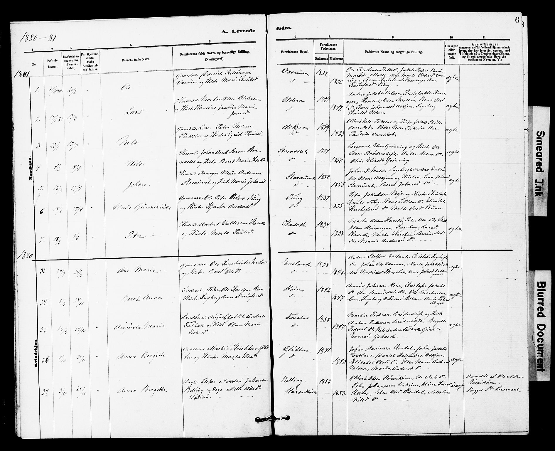 Ministerialprotokoller, klokkerbøker og fødselsregistre - Sør-Trøndelag, SAT/A-1456/646/L0628: Parish register (copy) no. 646C01, 1880-1903, p. 6