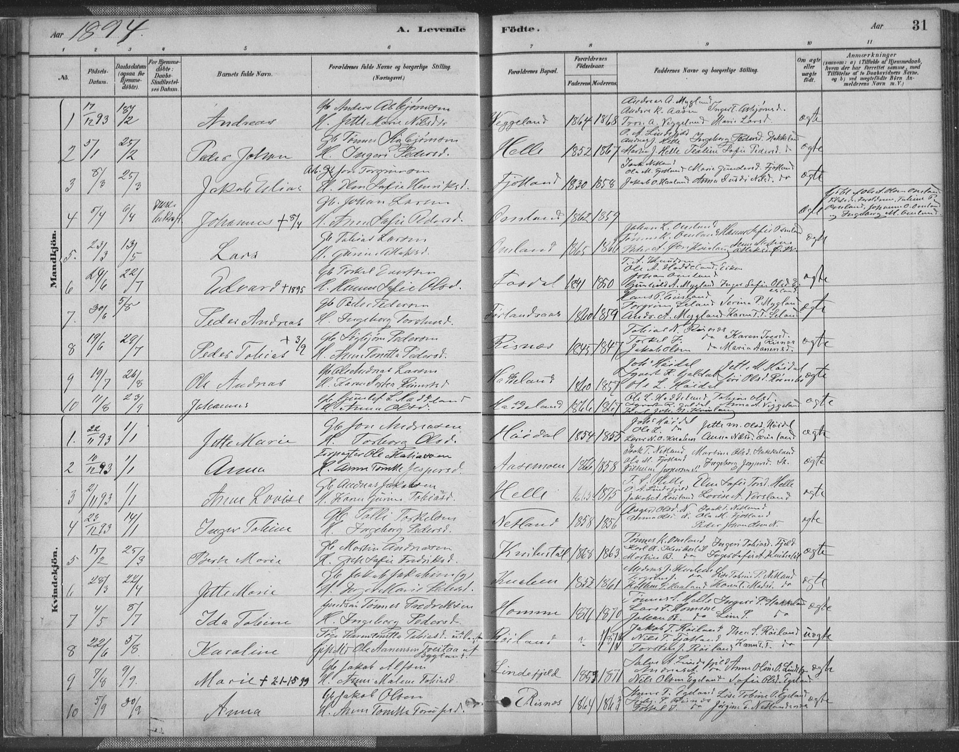 Fjotland sokneprestkontor, SAK/1111-0010/F/Fa/L0002: Parish register (official) no. A 2, 1880-1898, p. 31