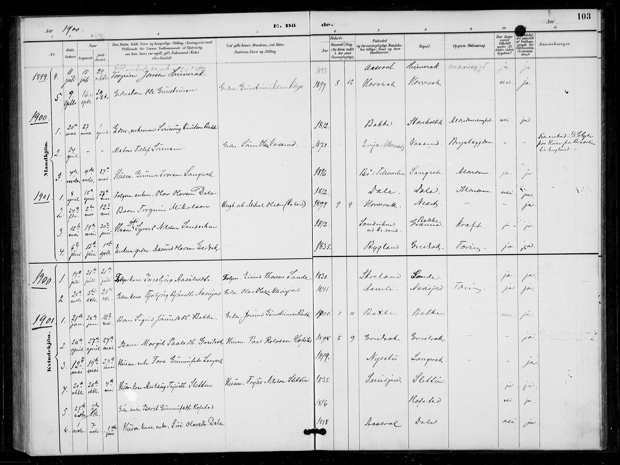 Bygland sokneprestkontor, SAK/1111-0006/F/Fa/Fad/L0001: Parish register (official) no. A 1, 1885-1906, p. 103
