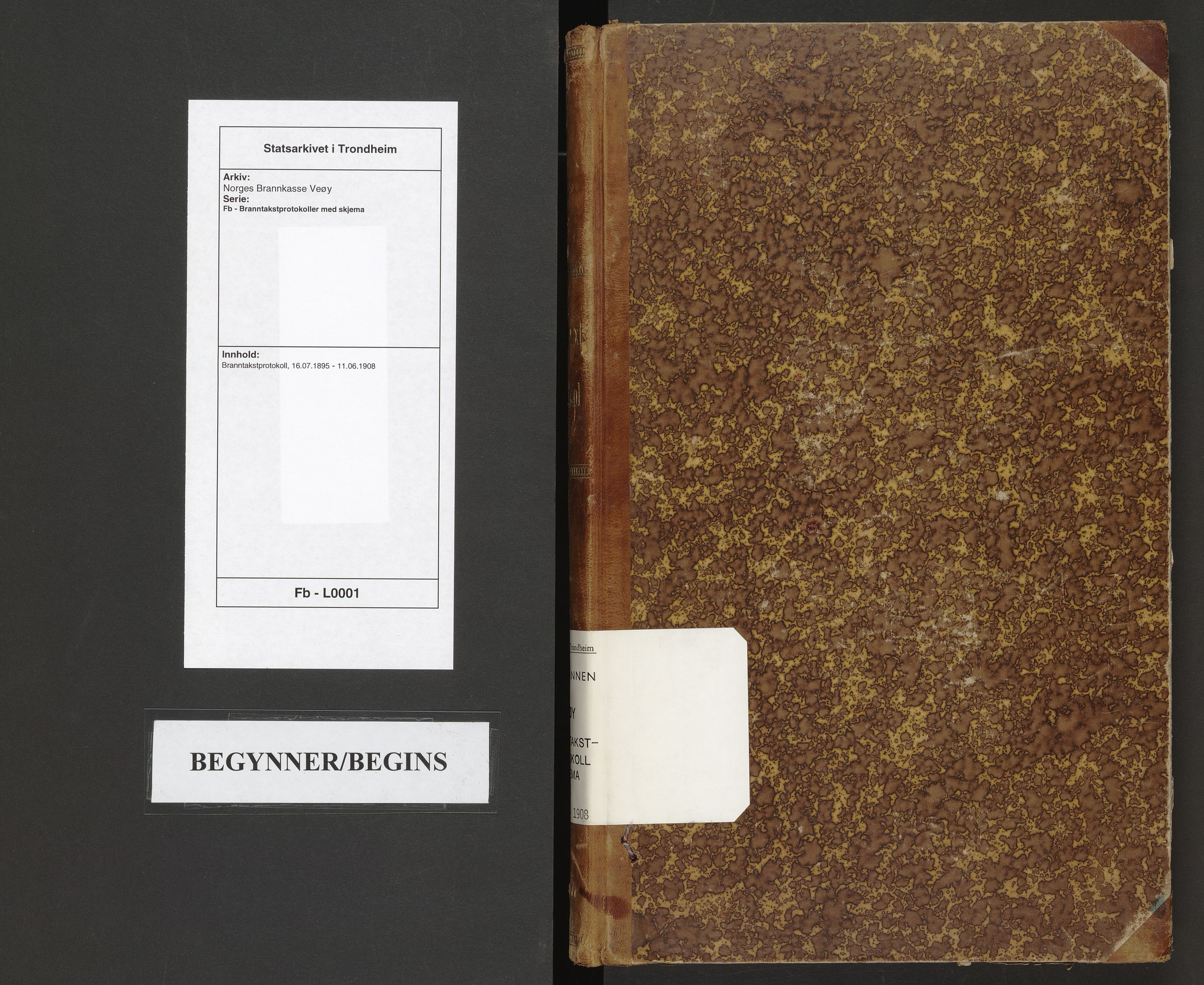 Norges Brannkasse Veøy, AV/SAT-A-5500/Fb/L0001: Branntakstprotokoll, 1895-1908