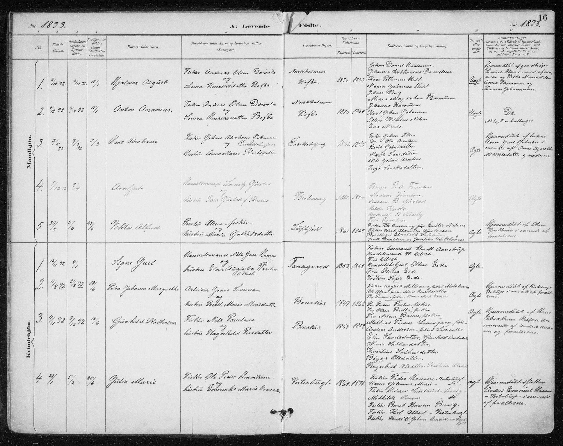 Tana sokneprestkontor, SATØ/S-1334/H/Ha/L0005kirke: Parish register (official) no. 5, 1891-1903, p. 16