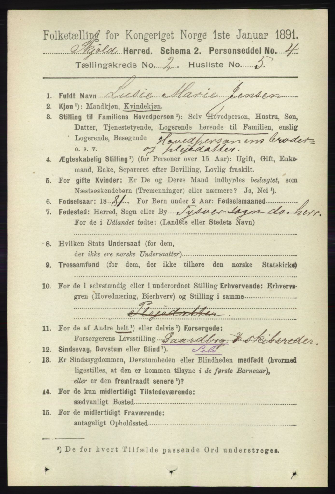 RA, 1891 census for 1154 Skjold, 1891, p. 310