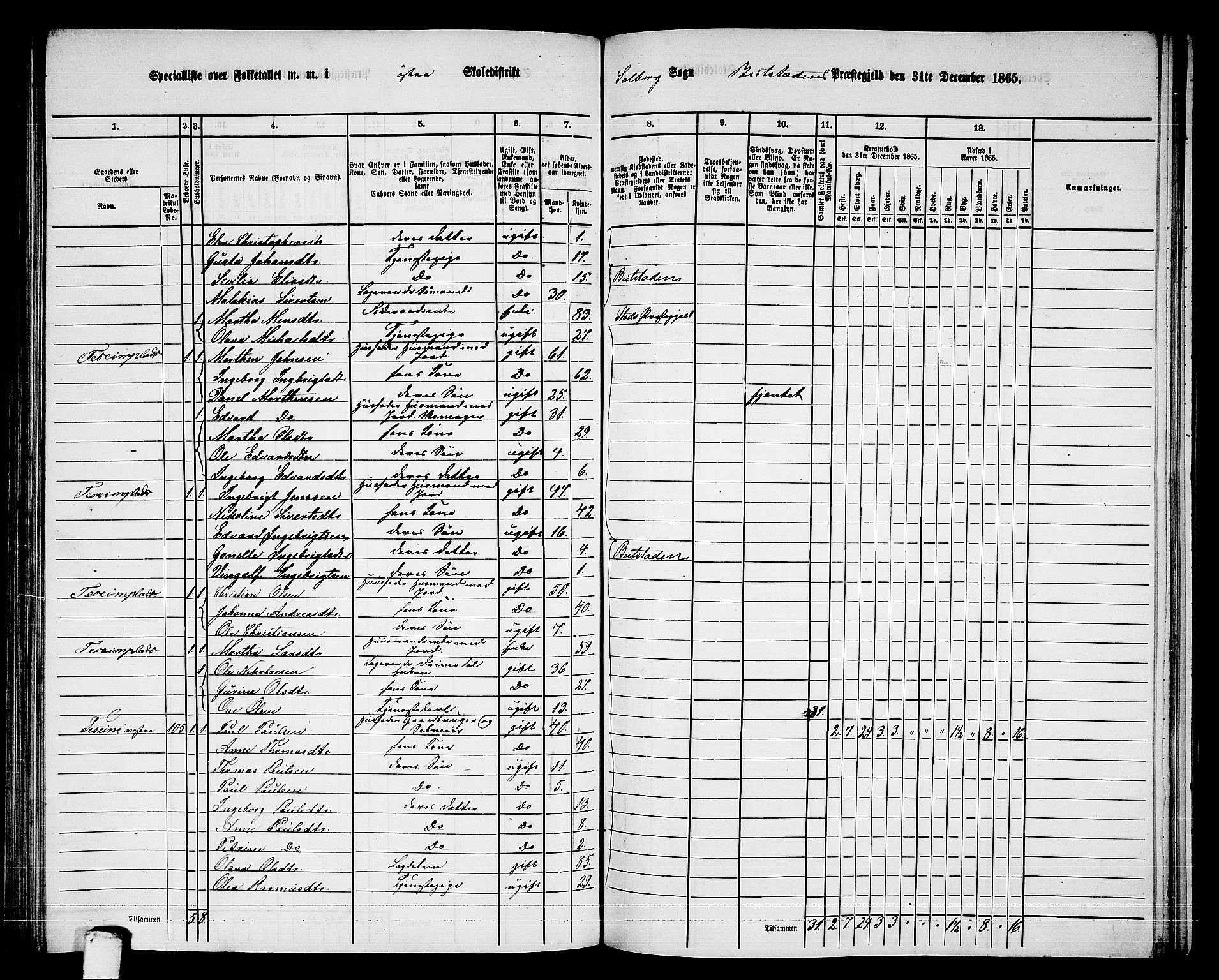 RA, 1865 census for Beitstad, 1865, p. 101