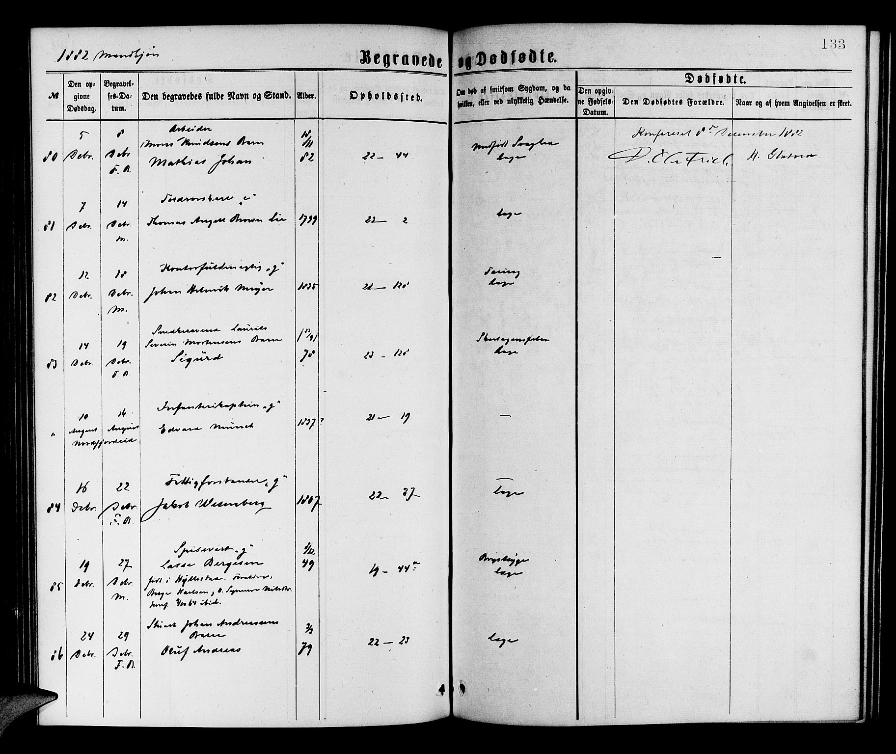 Korskirken sokneprestembete, SAB/A-76101/H/Hab: Parish register (copy) no. E 3, 1871-1883, p. 133