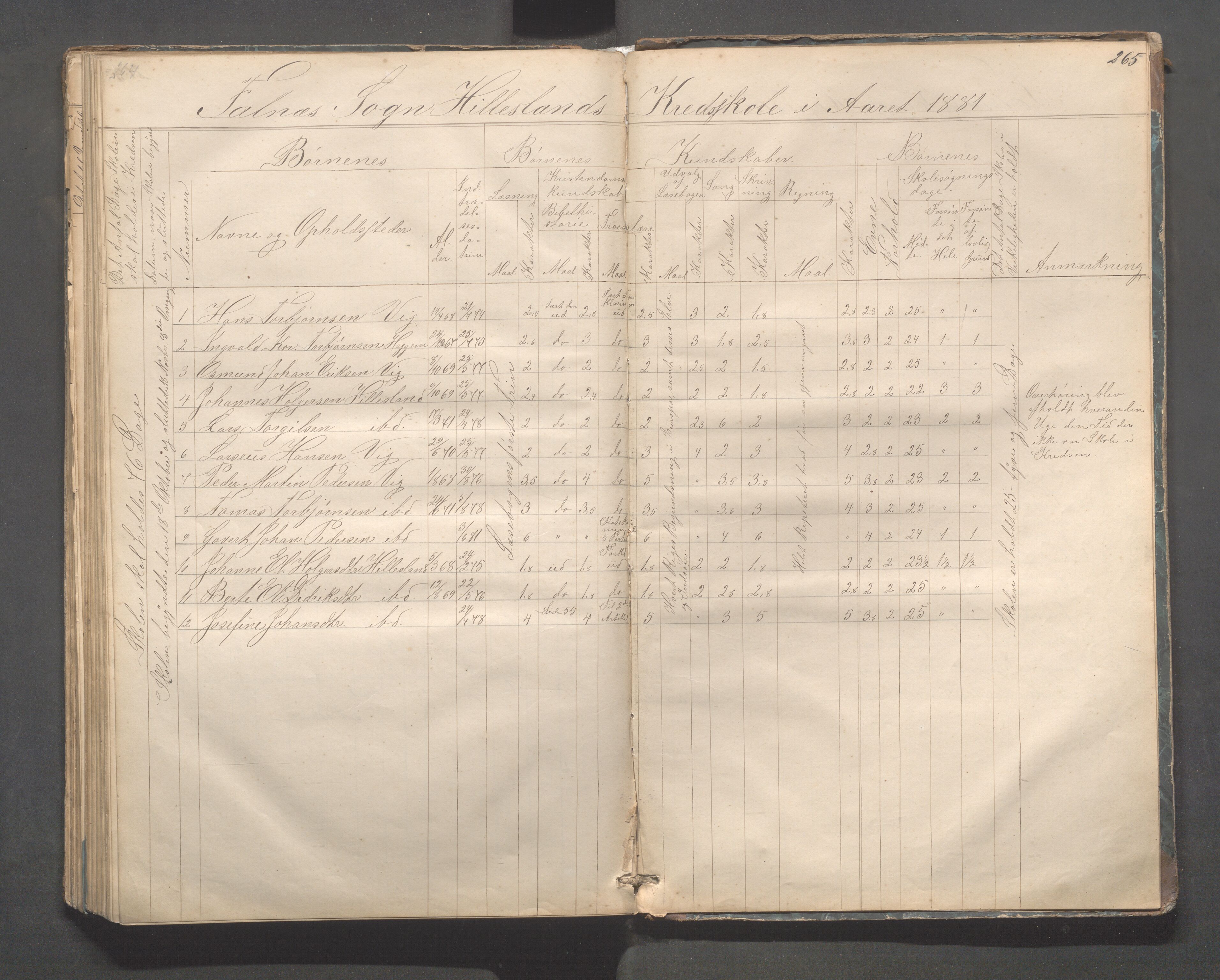 Skudenes kommune - Dale - Hillesland - Snørteland skolekretser, IKAR/A-306/H/L0002: Dale - Hillesland - Snørteland, 1869-1882, p. 264-265