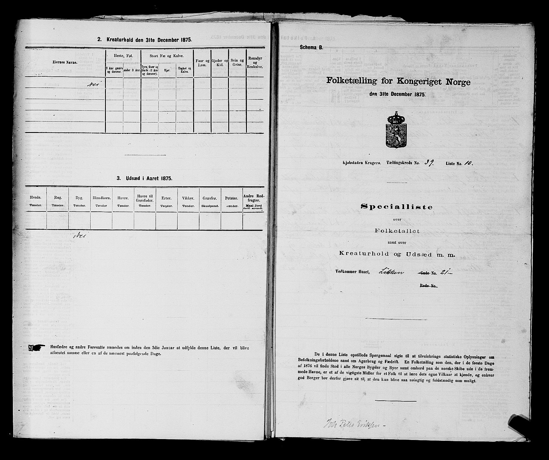 SAKO, 1875 census for 0801P Kragerø, 1875, p. 865