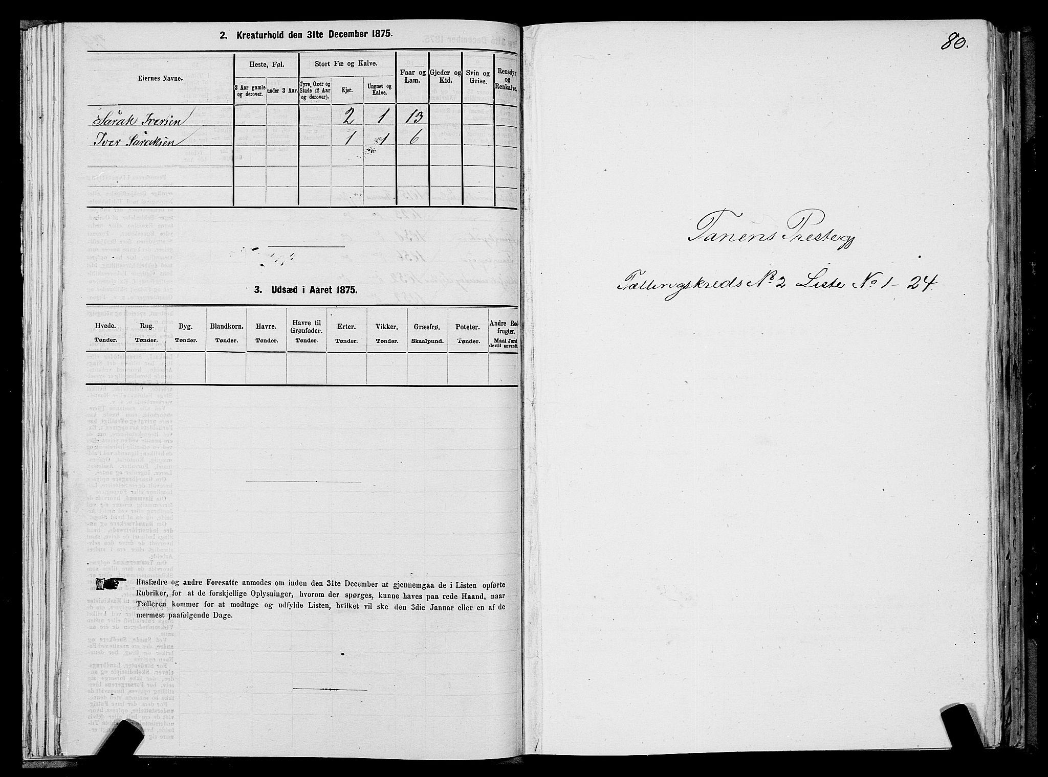 SATØ, 1875 census for 2025P Tana, 1875, p. 1080