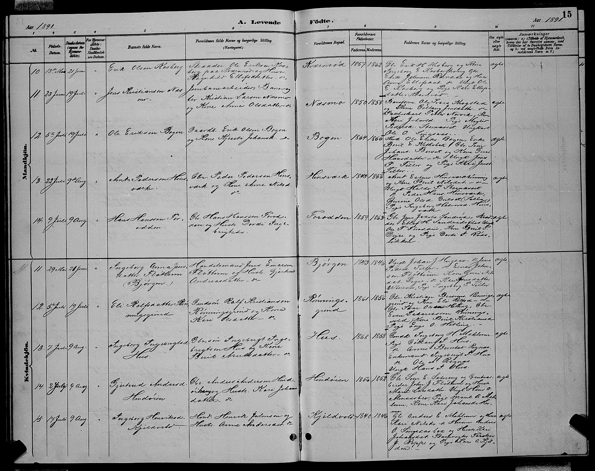 Ministerialprotokoller, klokkerbøker og fødselsregistre - Sør-Trøndelag, AV/SAT-A-1456/688/L1028: Parish register (copy) no. 688C03, 1889-1899, p. 15