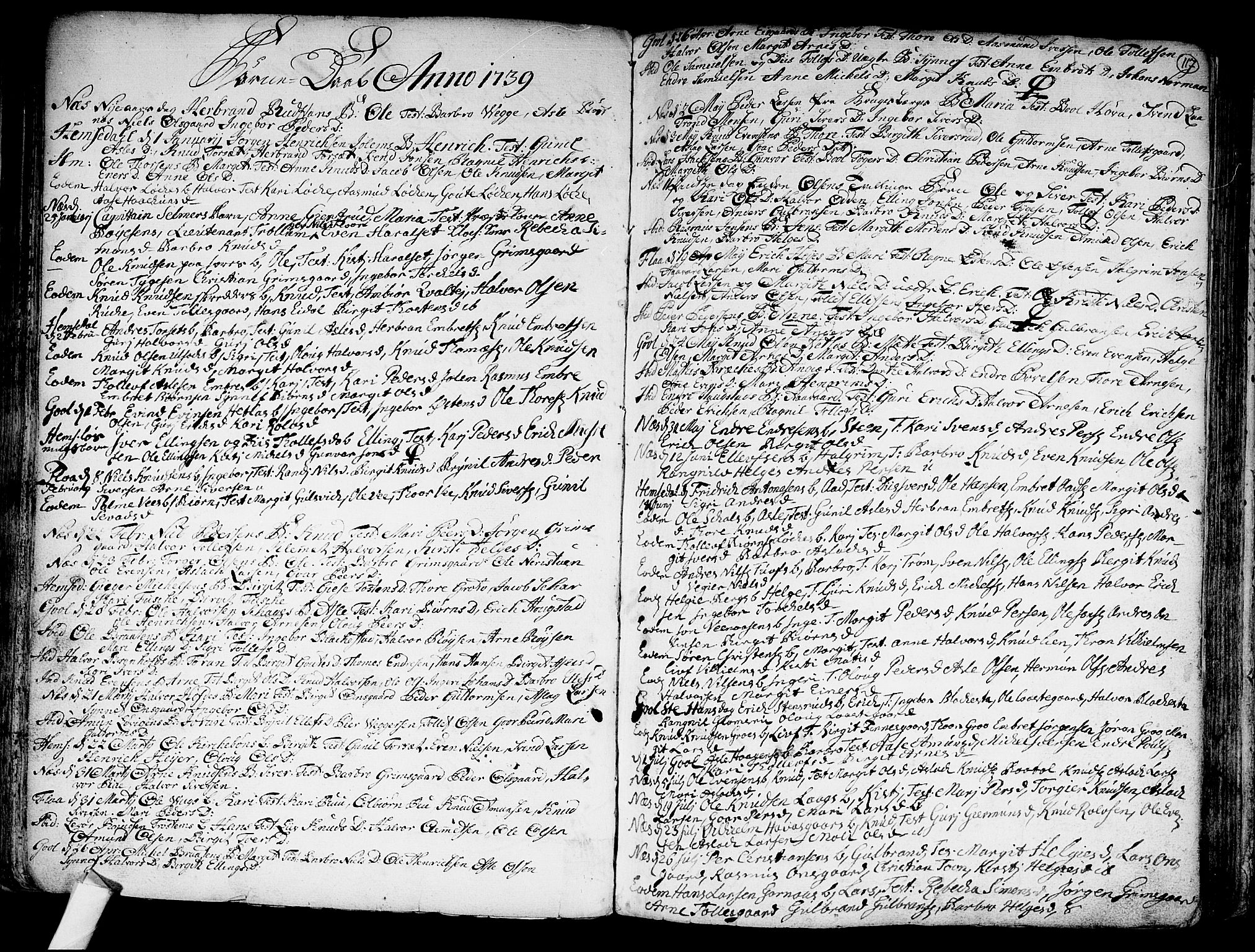 Nes kirkebøker, SAKO/A-236/F/Fa/L0002: Parish register (official) no. 2, 1707-1759, p. 117