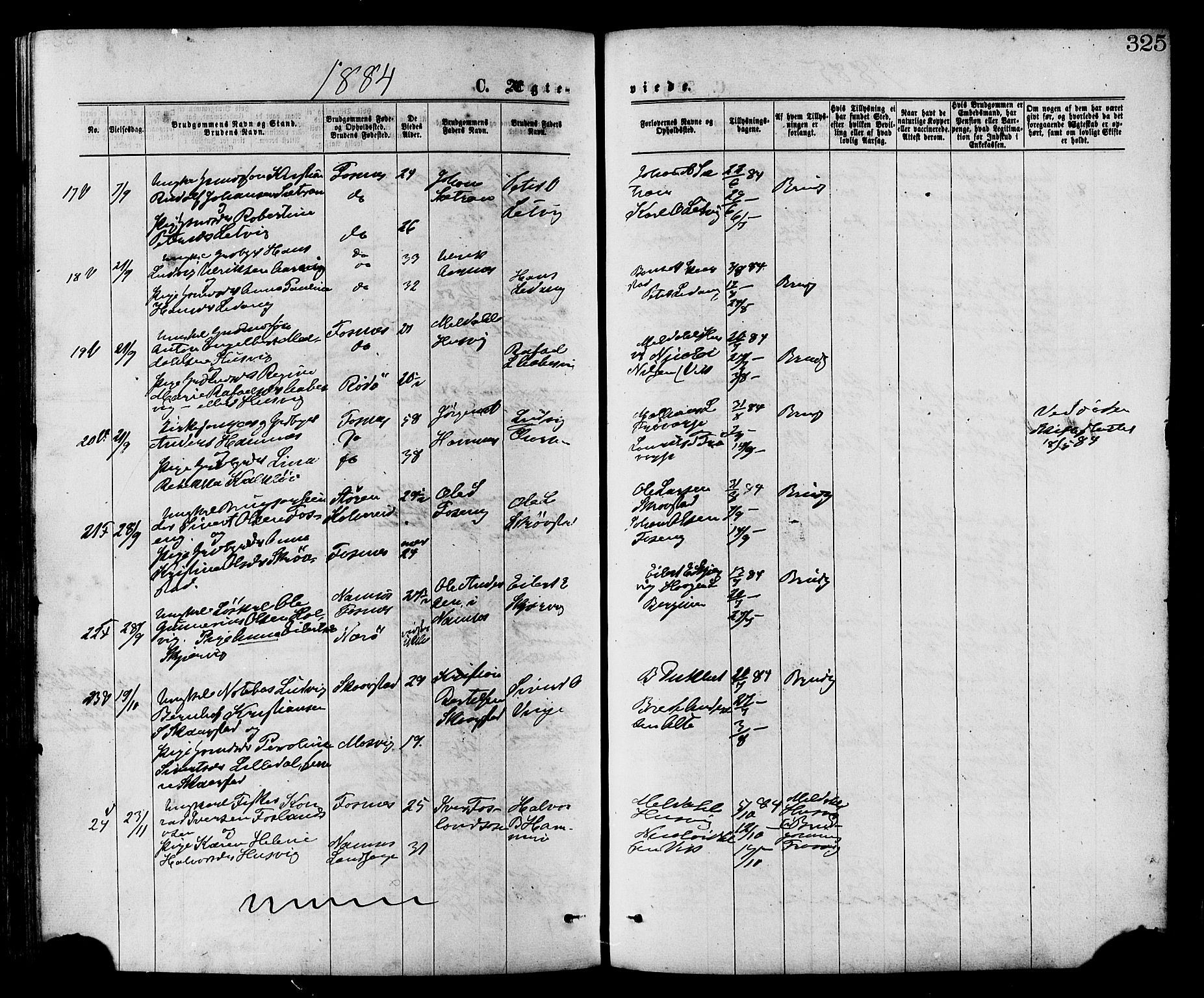 Ministerialprotokoller, klokkerbøker og fødselsregistre - Nord-Trøndelag, SAT/A-1458/773/L0616: Parish register (official) no. 773A07, 1870-1887, p. 325