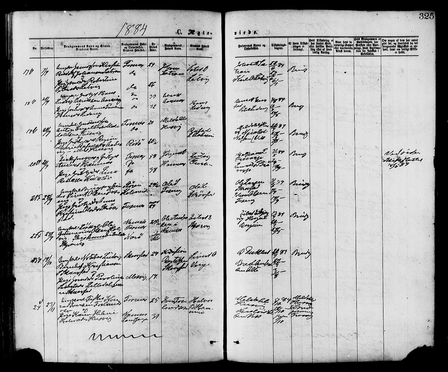 Ministerialprotokoller, klokkerbøker og fødselsregistre - Nord-Trøndelag, AV/SAT-A-1458/773/L0616: Parish register (official) no. 773A07, 1870-1887, p. 325