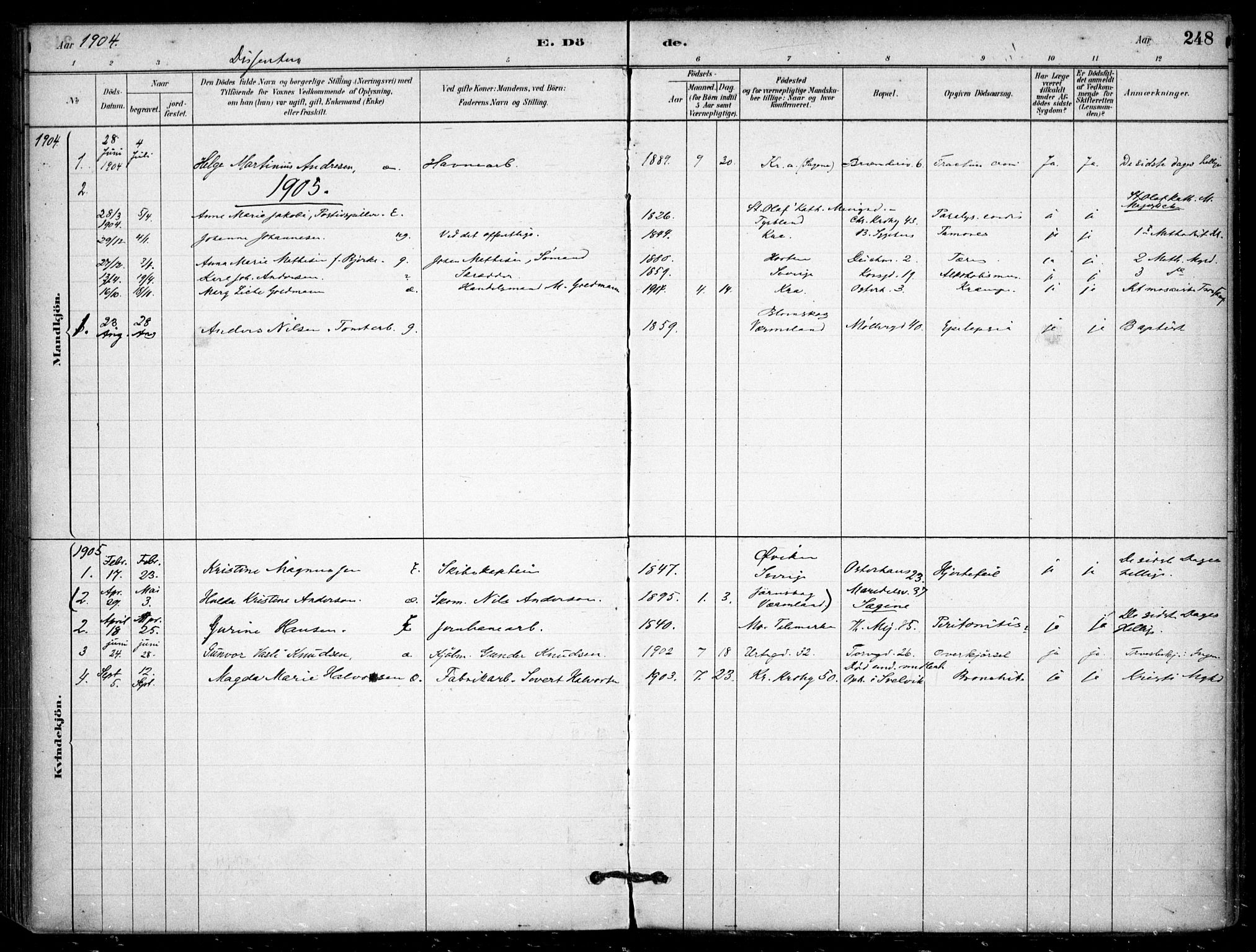 Jakob prestekontor Kirkebøker, SAO/A-10850/F/Fa/L0007: Parish register (official) no. 7, 1880-1905, p. 248