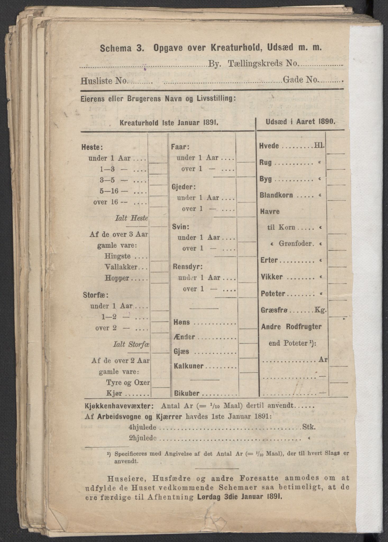 RA, 1891 Census for 1301 Bergen, 1891, p. 707