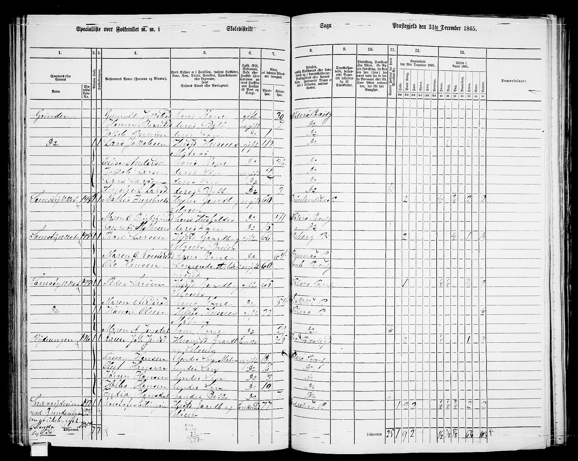 RA, 1865 census for Nøtterøy, 1865, p. 164