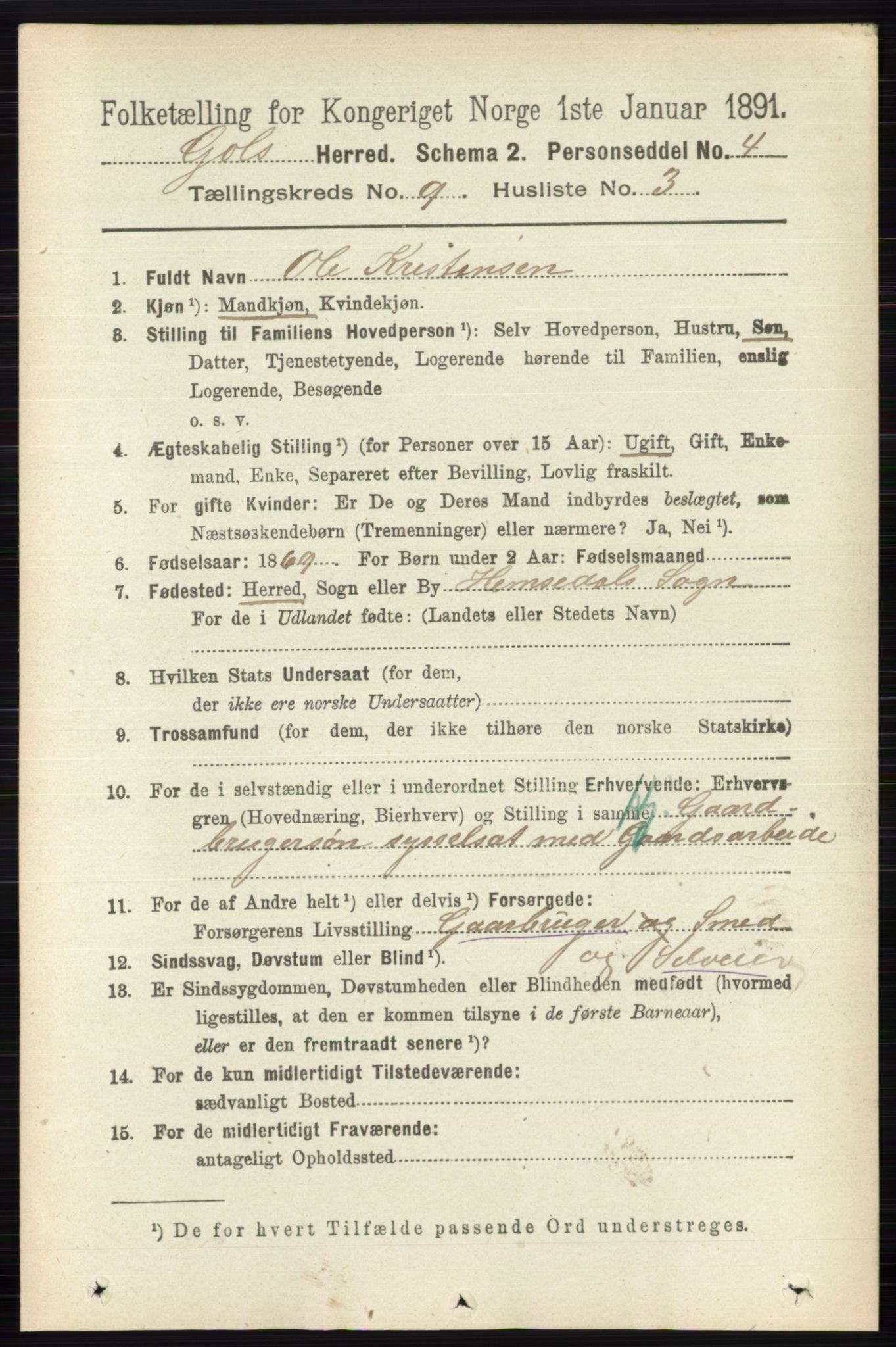 RA, 1891 census for 0617 Gol og Hemsedal, 1891, p. 3410