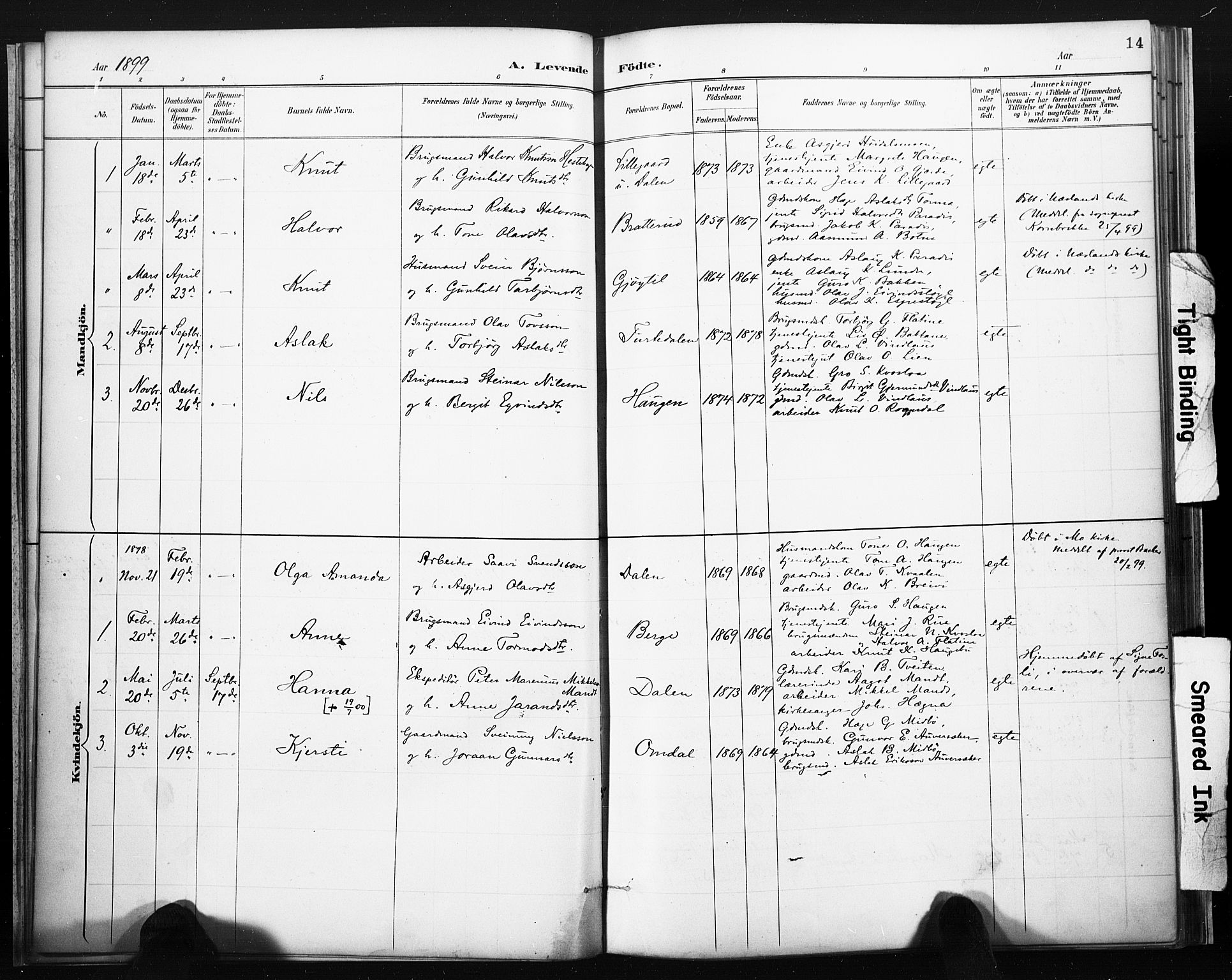 Lårdal kirkebøker, SAKO/A-284/F/Fb/L0002: Parish register (official) no. II 2, 1887-1918, p. 14