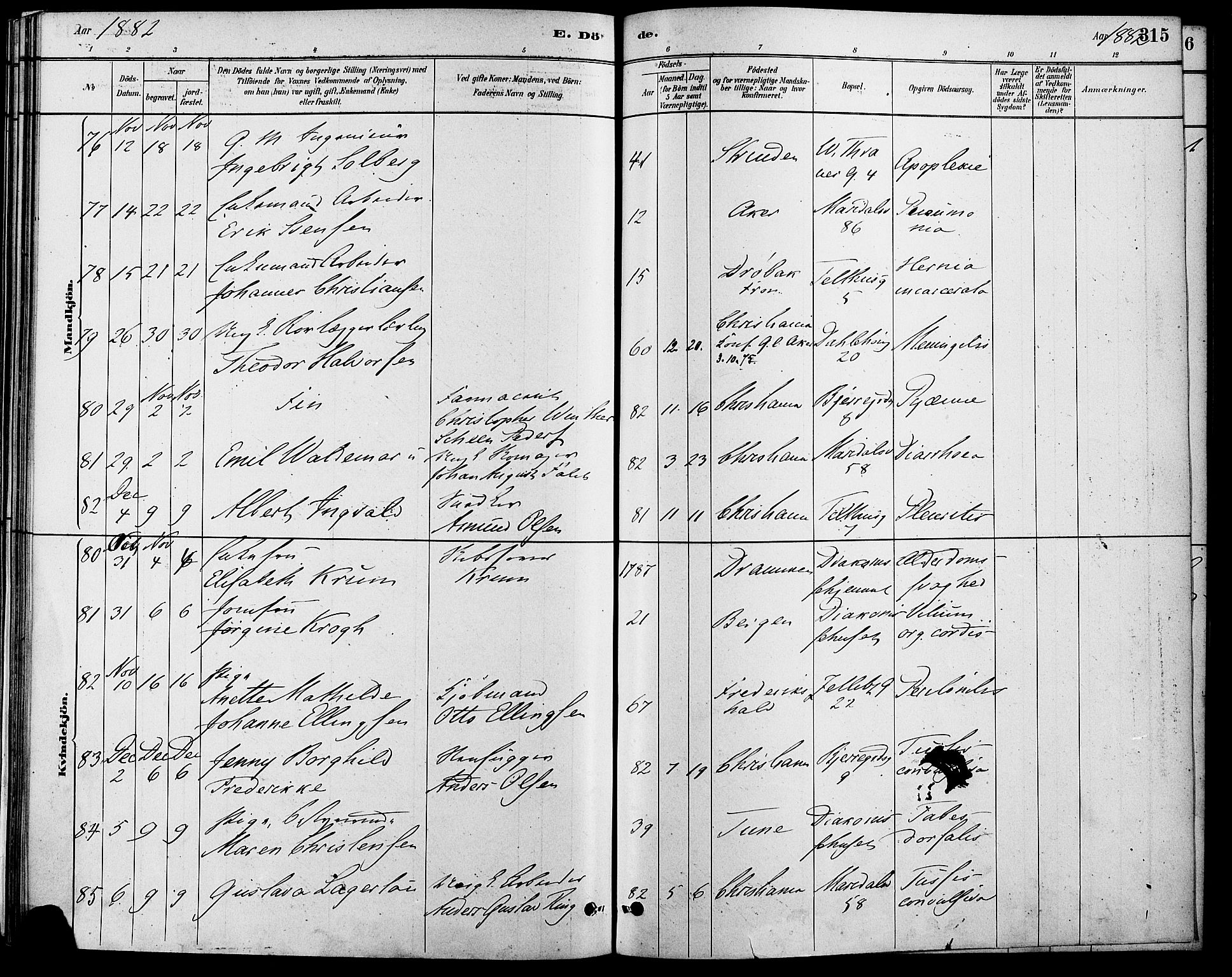 Gamle Aker prestekontor Kirkebøker, AV/SAO-A-10617a/F/L0006: Parish register (official) no. 6, 1880-1887, p. 315