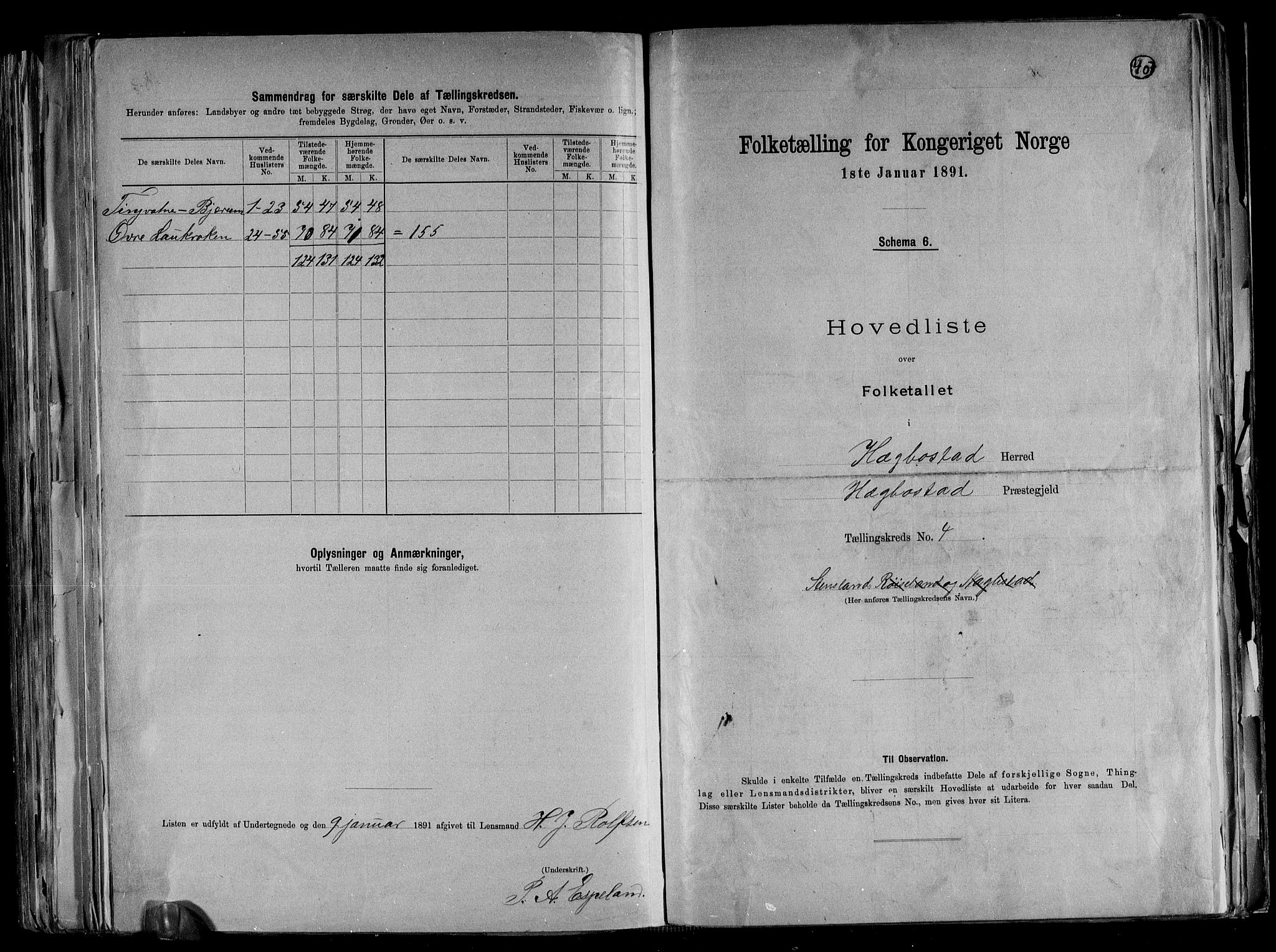 RA, 1891 census for 1034 Hægebostad, 1891, p. 11