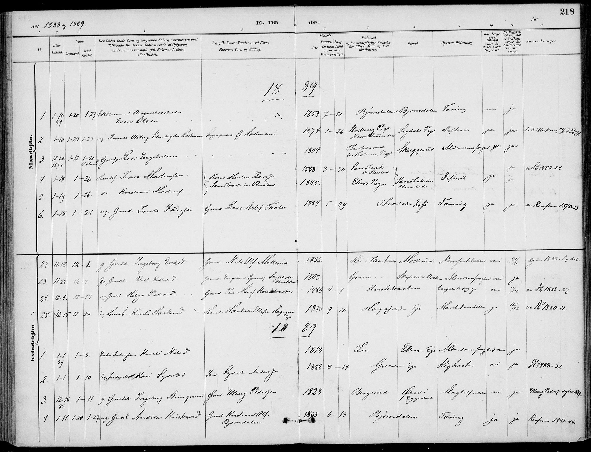 Sigdal kirkebøker, SAKO/A-245/F/Fb/L0001: Parish register (official) no. II 1, 1888-1900, p. 218