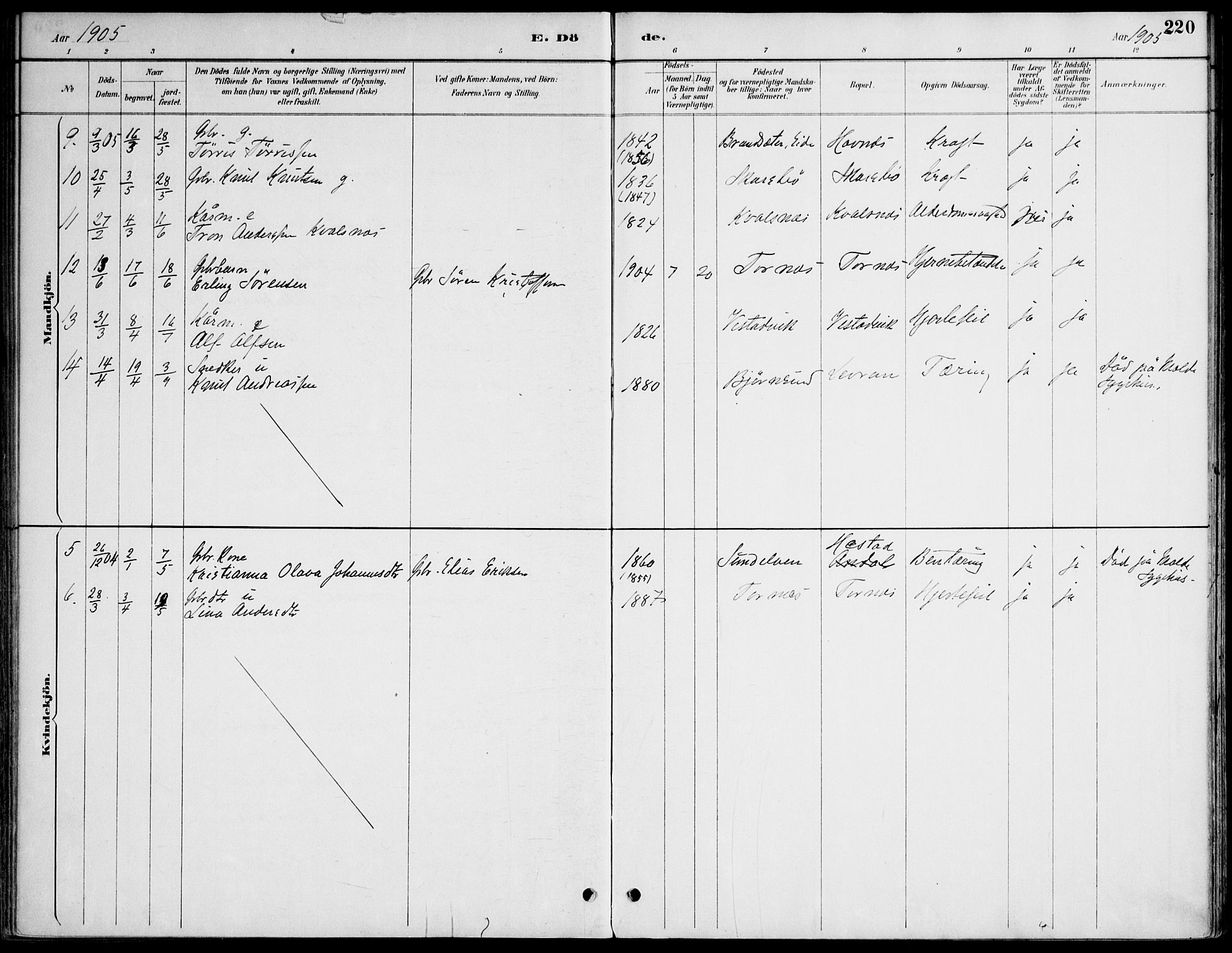 Ministerialprotokoller, klokkerbøker og fødselsregistre - Møre og Romsdal, AV/SAT-A-1454/565/L0750: Parish register (official) no. 565A04, 1887-1905, p. 220