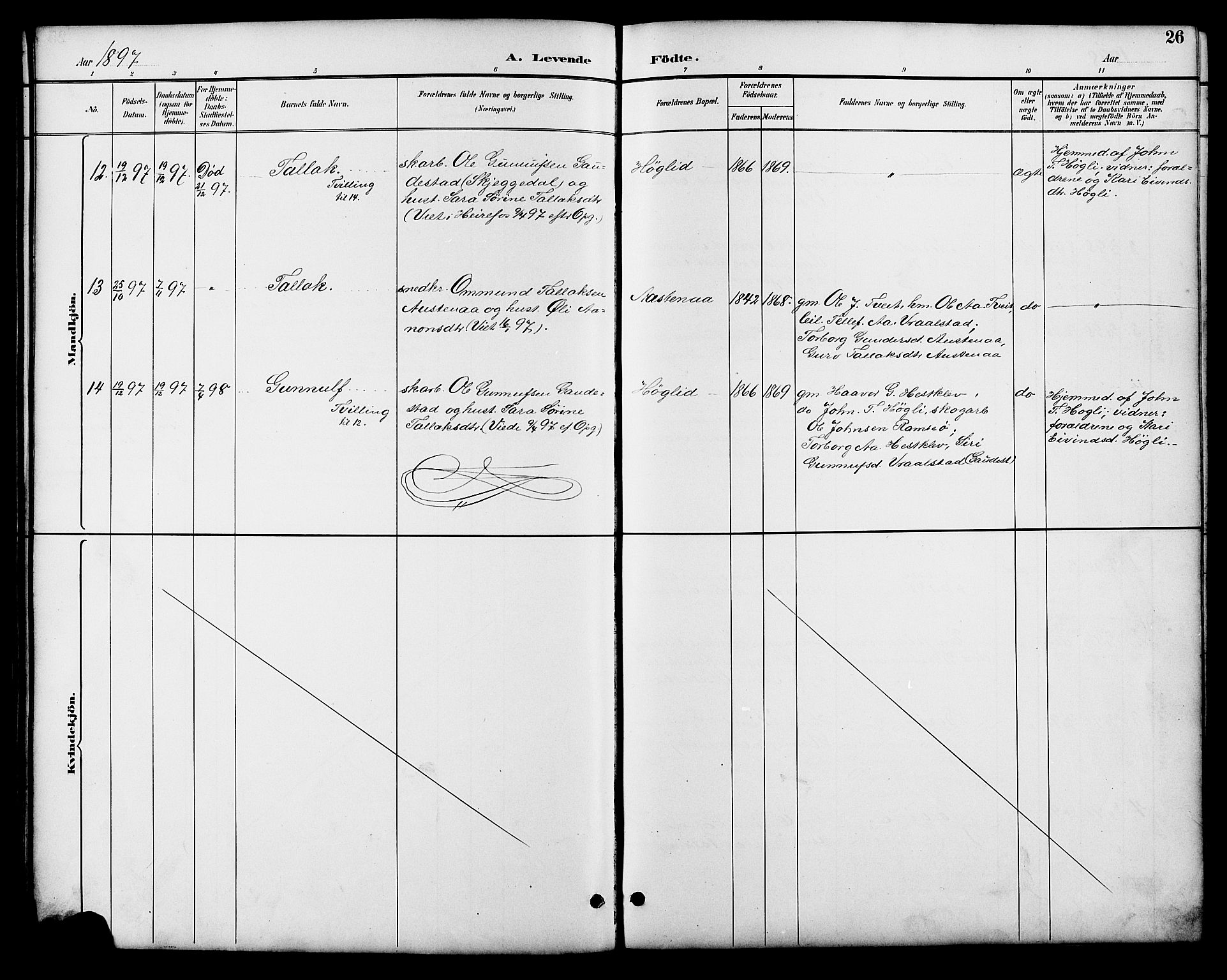 Åmli sokneprestkontor, AV/SAK-1111-0050/F/Fb/Fbb/L0002: Parish register (copy) no. B 2, 1890-1905, p. 26