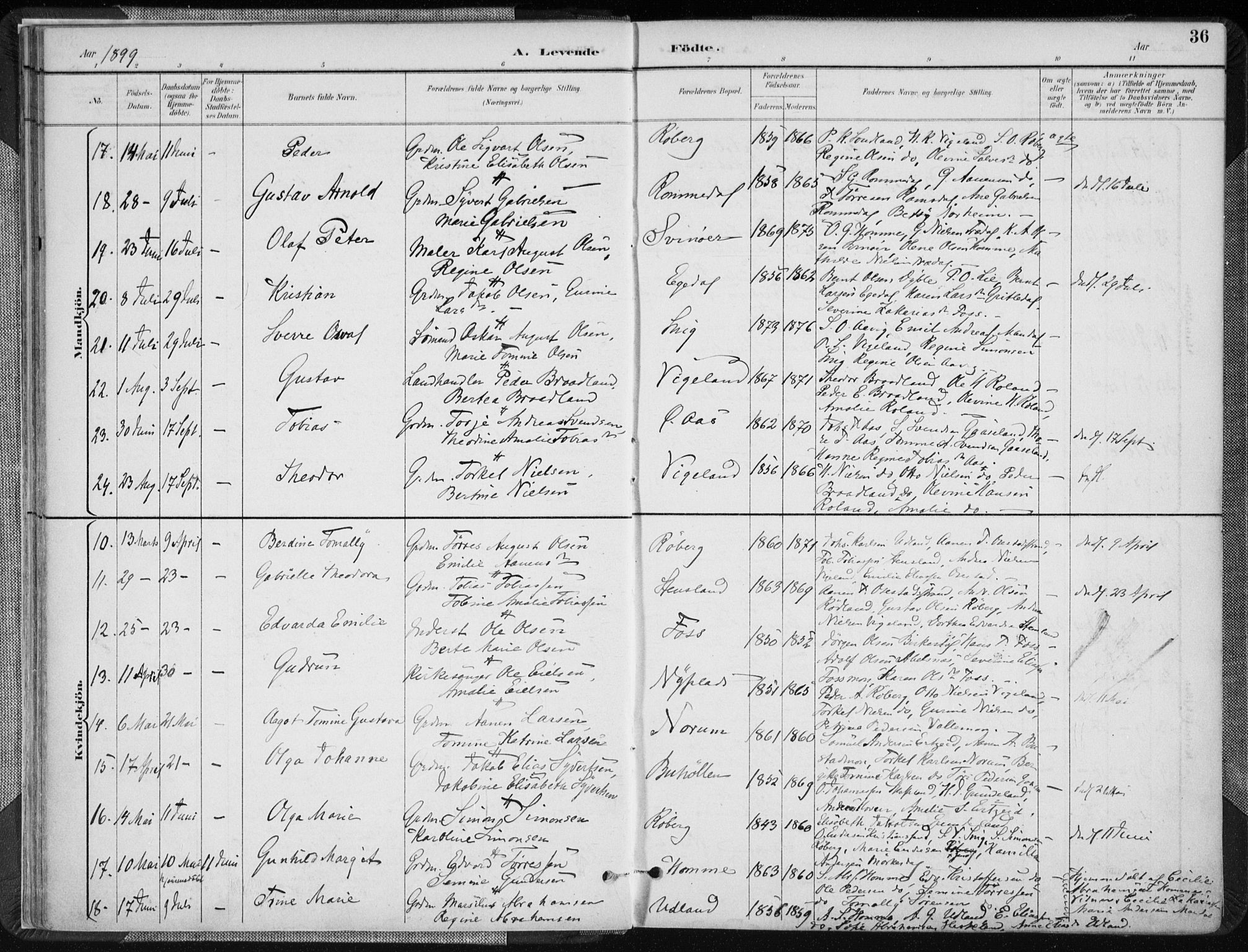 Sør-Audnedal sokneprestkontor, SAK/1111-0039/F/Fa/Fab/L0010: Parish register (official) no. A 10, 1892-1913, p. 36