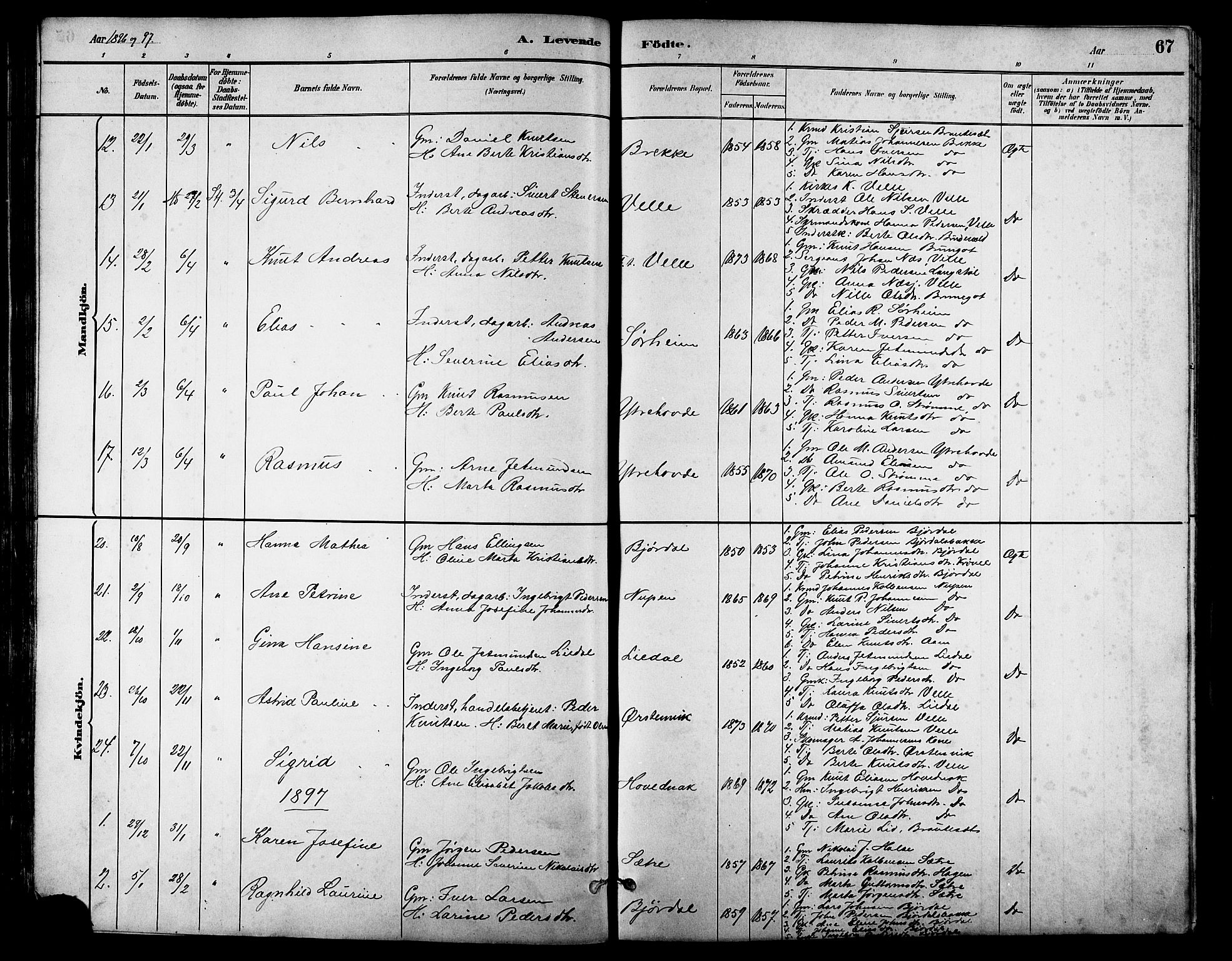 Ministerialprotokoller, klokkerbøker og fødselsregistre - Møre og Romsdal, AV/SAT-A-1454/513/L0189: Parish register (copy) no. 513C03, 1883-1904, p. 67