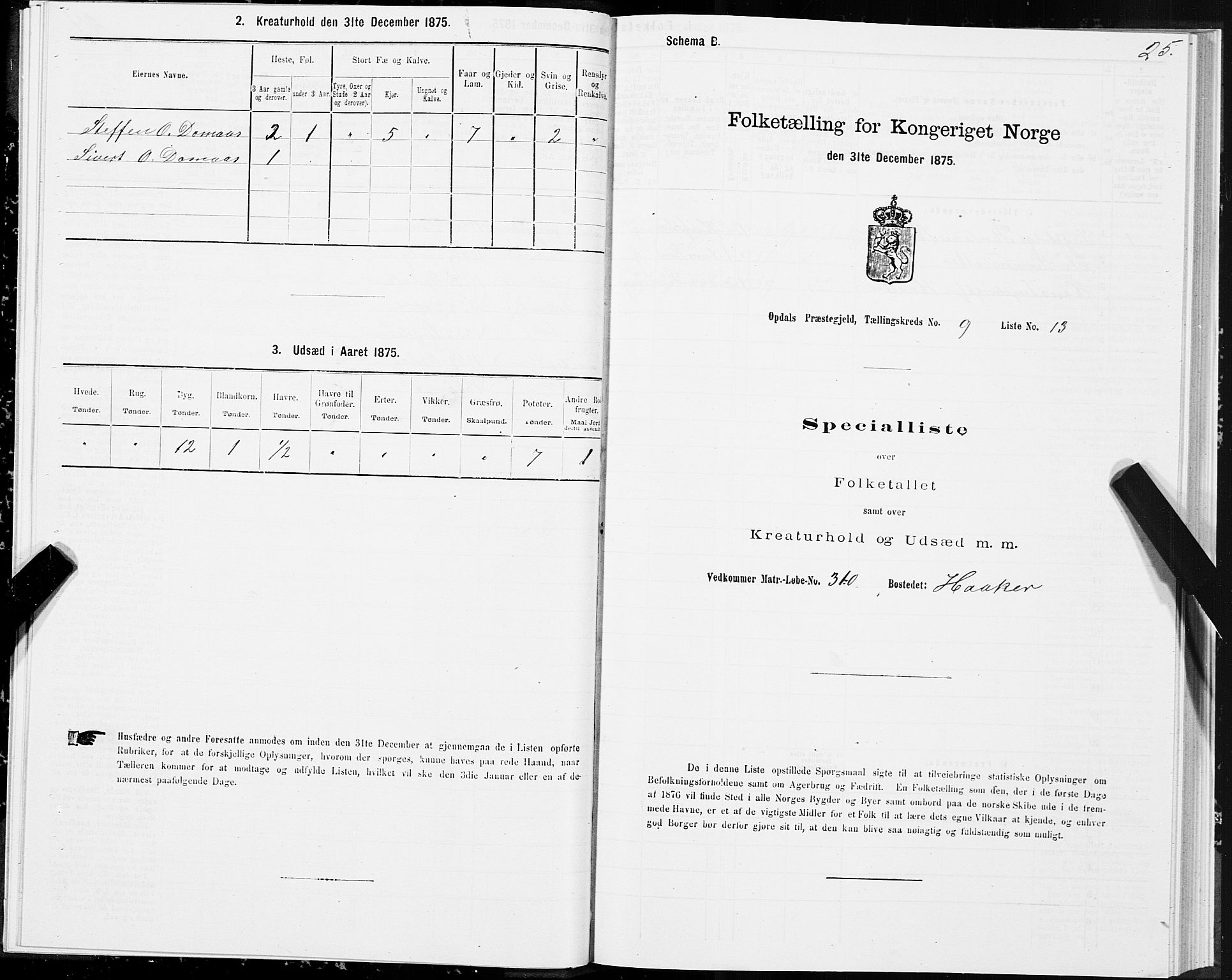 SAT, 1875 census for 1634P Oppdal, 1875, p. 6025
