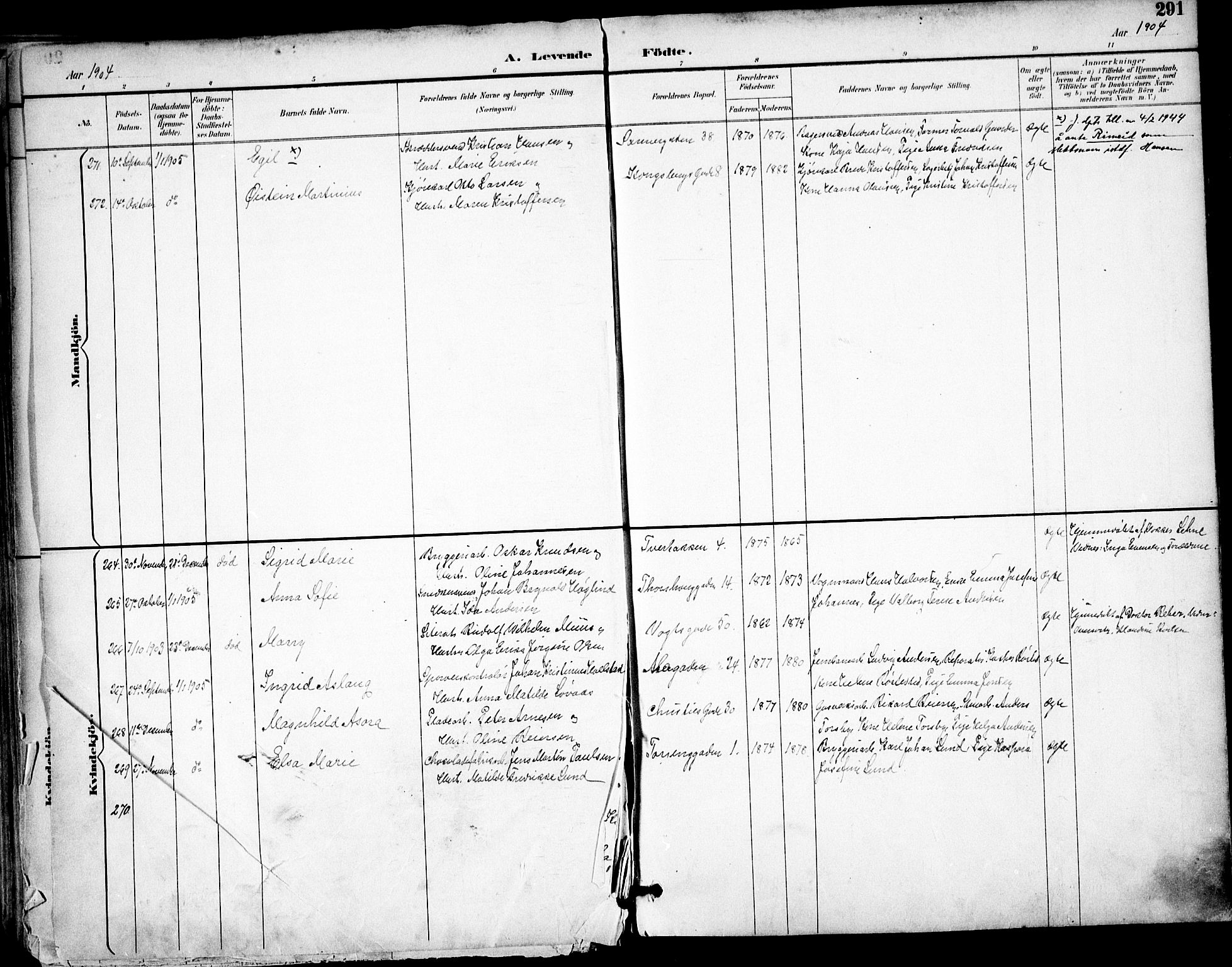 Sagene prestekontor Kirkebøker, SAO/A-10796/F/L0004: Parish register (official) no. 4, 1894-1904, p. 291