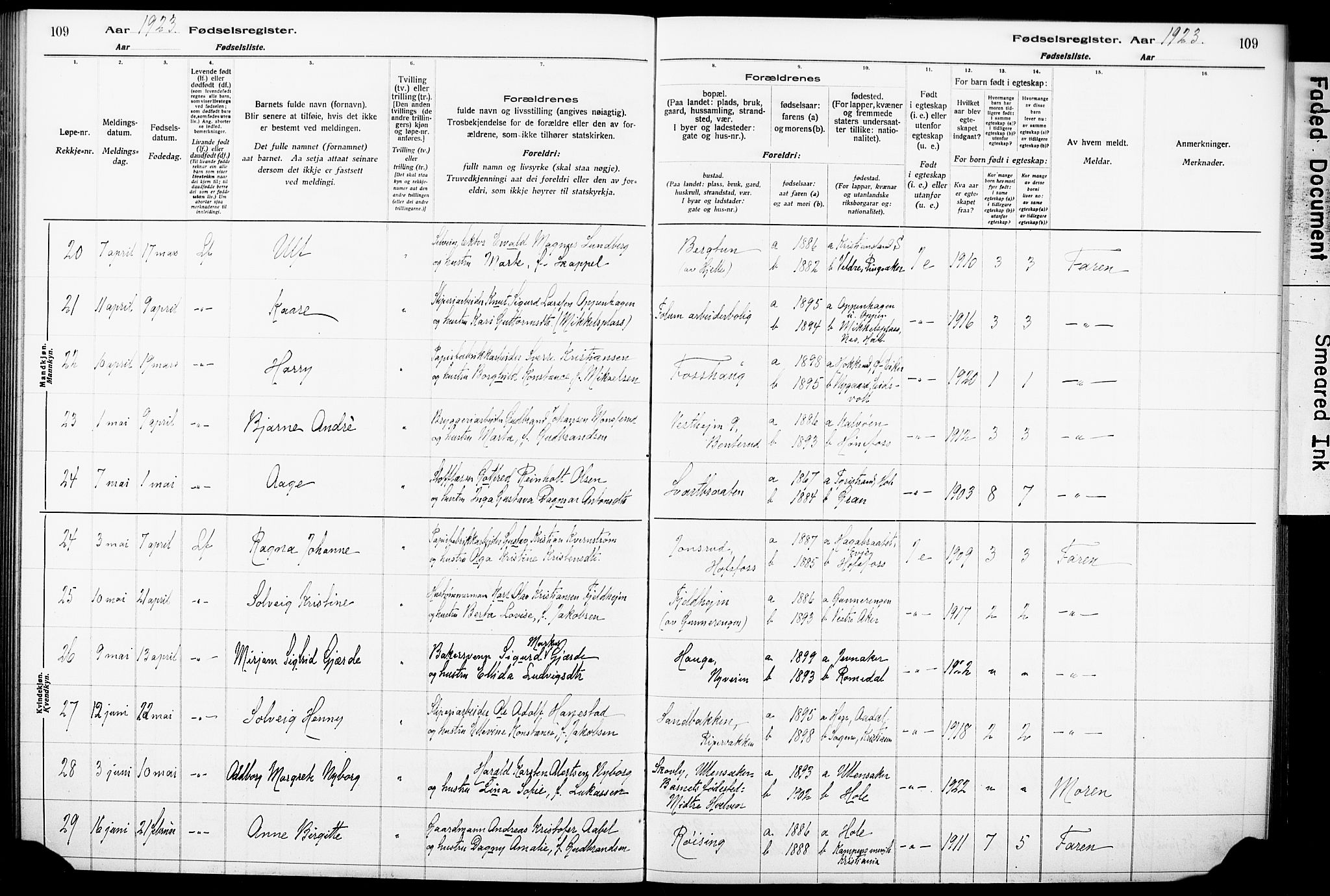 Norderhov kirkebøker, AV/SAKO-A-237/J/Ja/L0001: Birth register no. 1, 1916-1930, p. 109