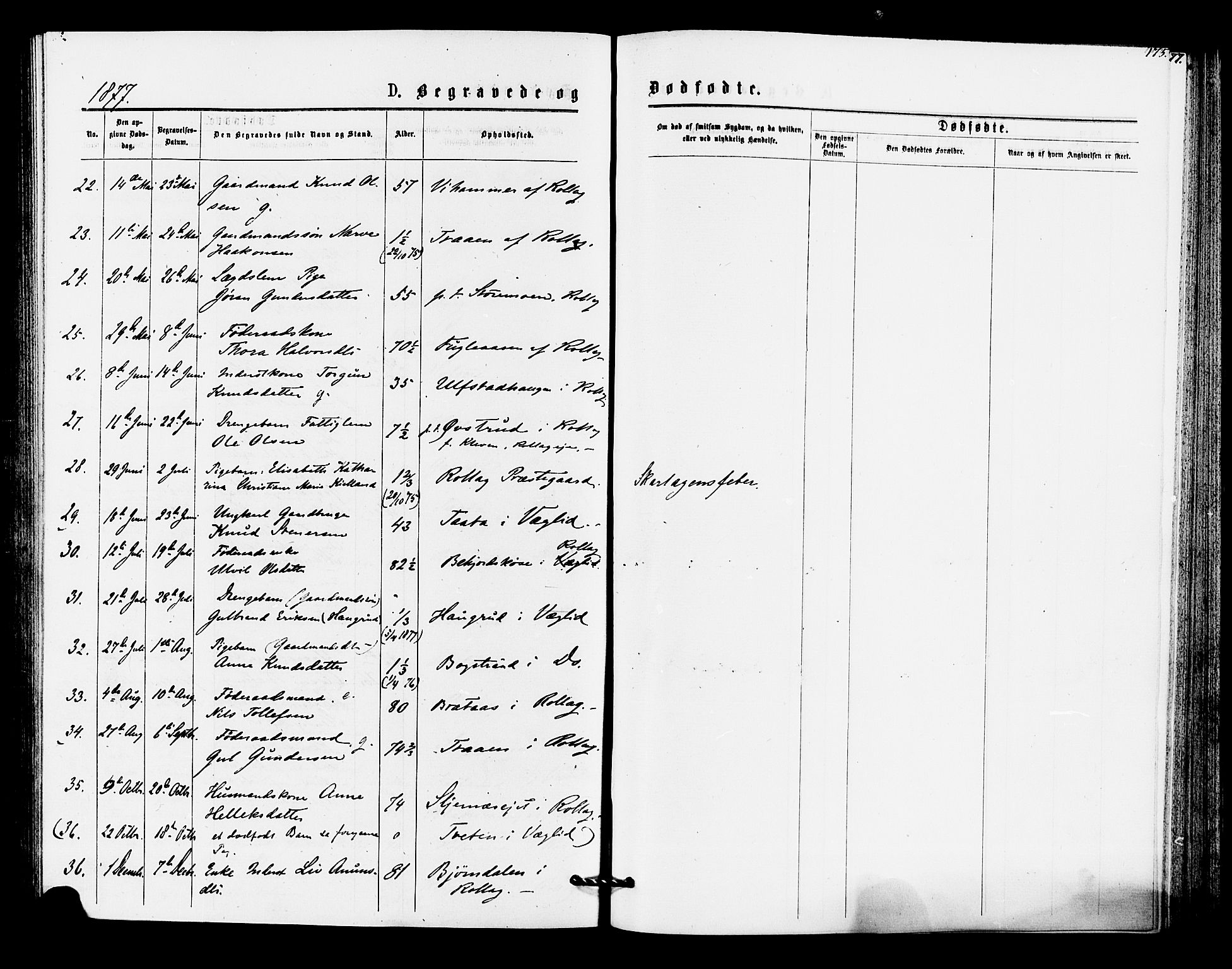 Rollag kirkebøker, AV/SAKO-A-240/F/Fa/L0010: Parish register (official) no. I 10, 1874-1877, p. 175