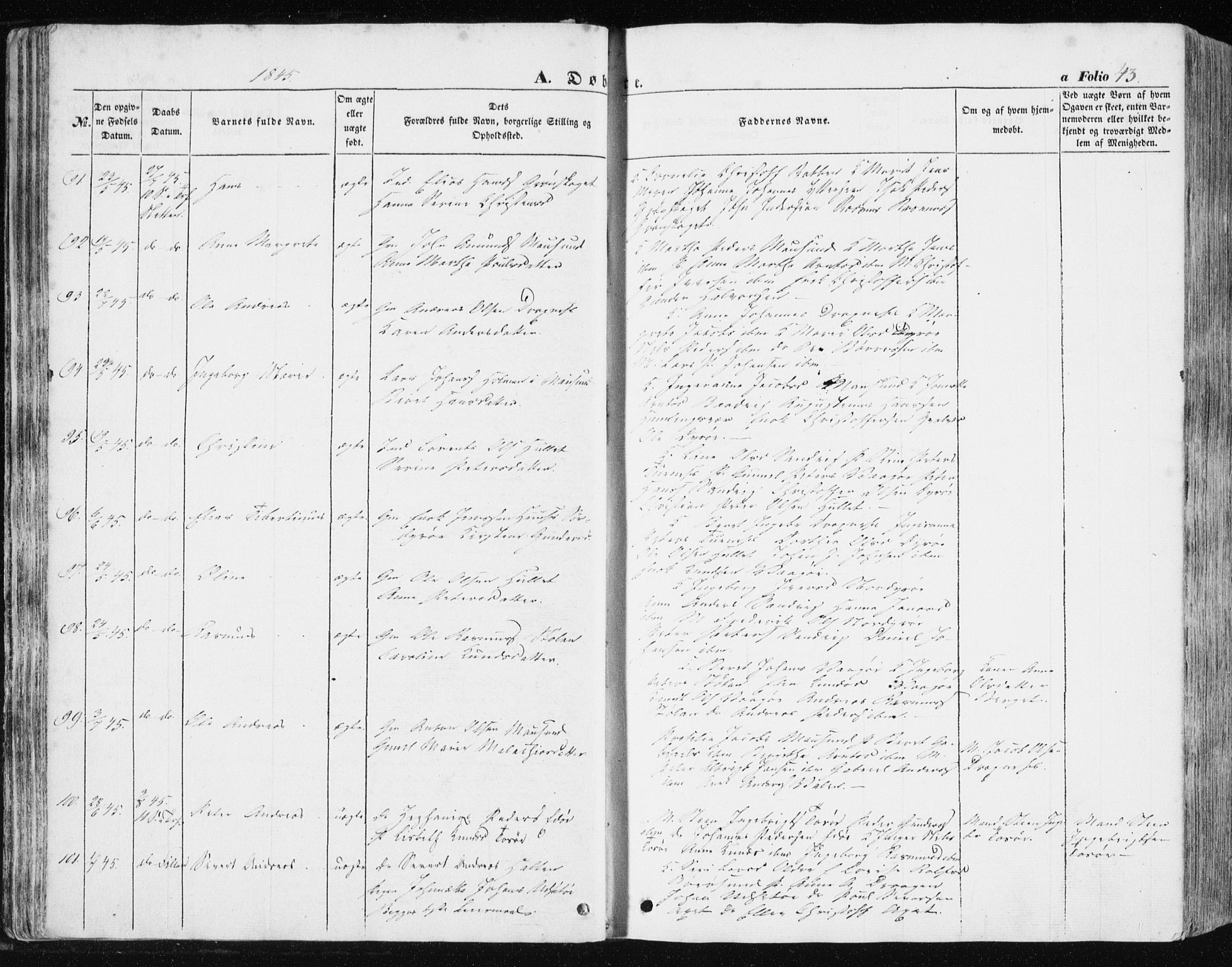 Ministerialprotokoller, klokkerbøker og fødselsregistre - Sør-Trøndelag, AV/SAT-A-1456/634/L0529: Parish register (official) no. 634A05, 1843-1851, p. 43