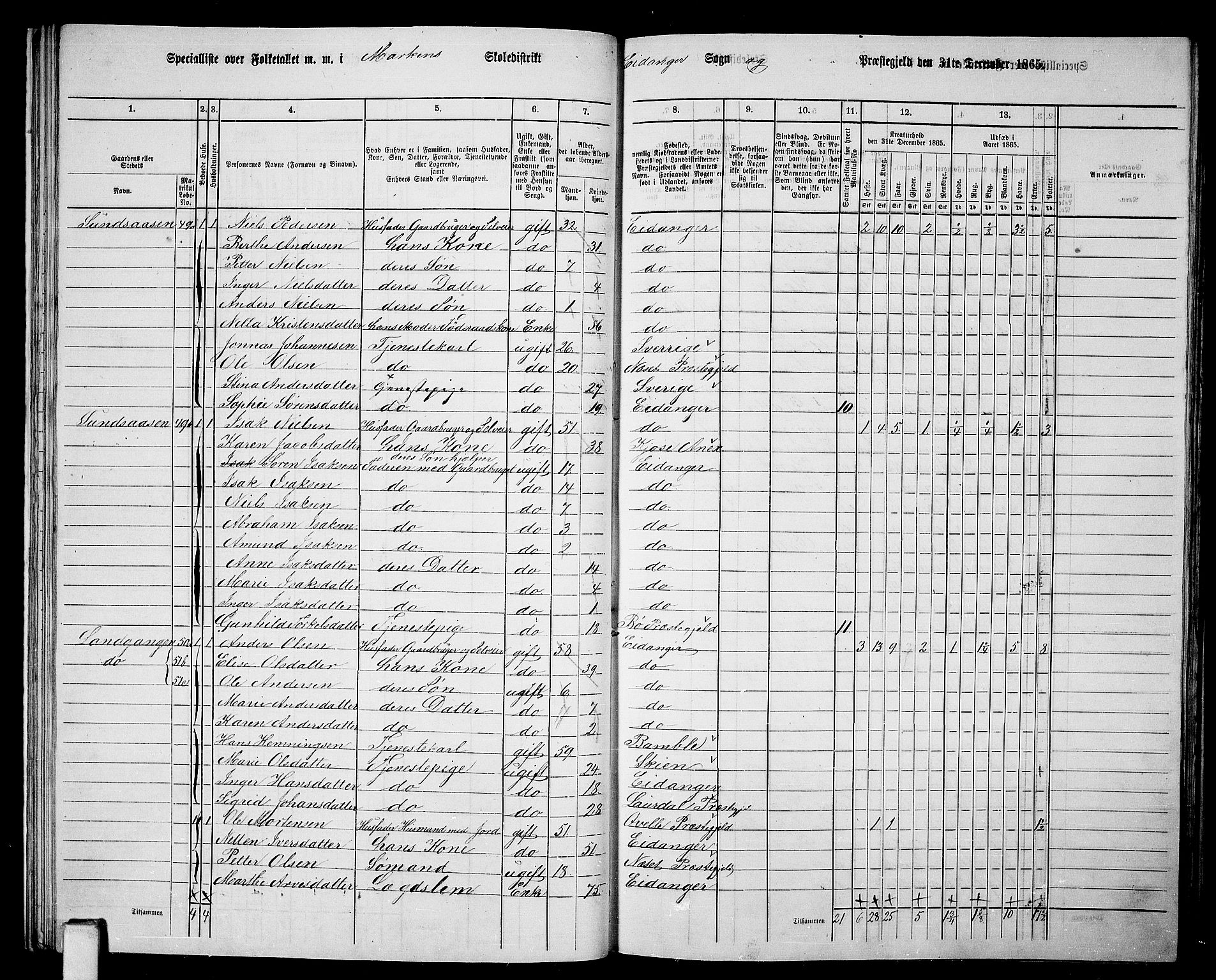 RA, 1865 census for Eidanger, 1865, p. 29