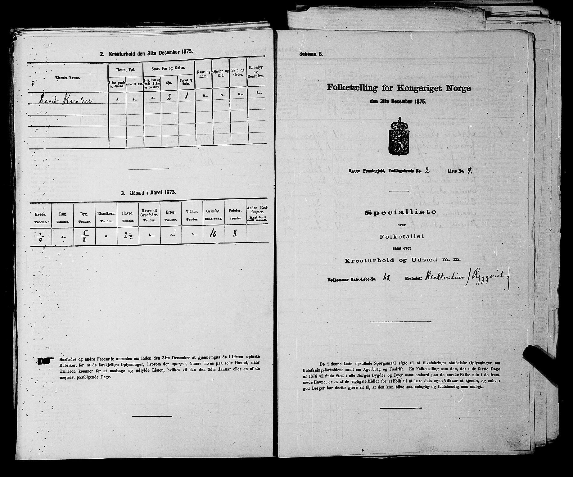 RA, 1875 census for 0136P Rygge, 1875, p. 459