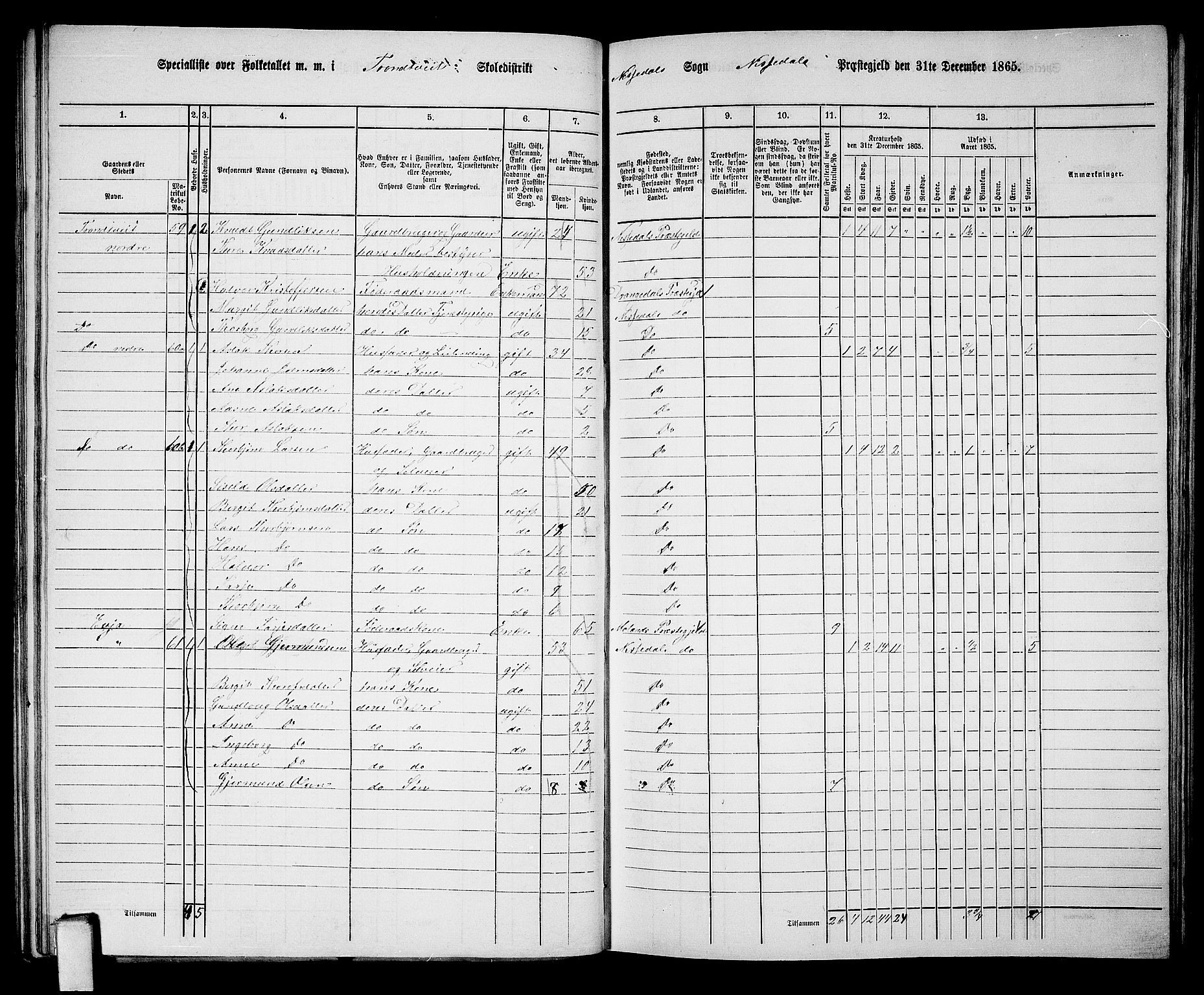 RA, 1865 census for Nissedal, 1865, p. 54