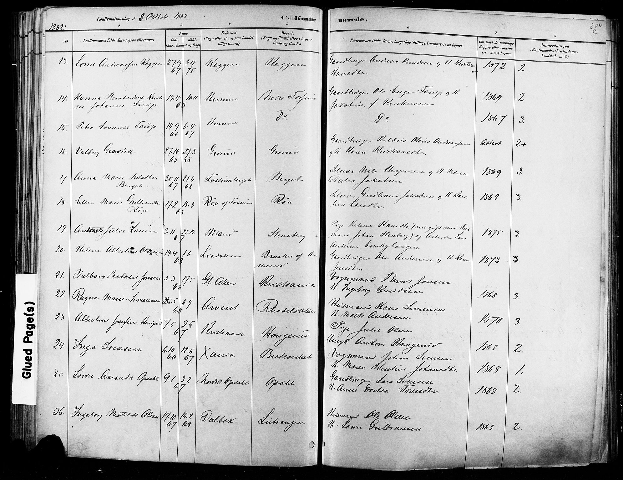 Østre Aker prestekontor Kirkebøker, AV/SAO-A-10840/F/Fa/L0006: Parish register (official) no. I 5, 1879-1882, p. 206c