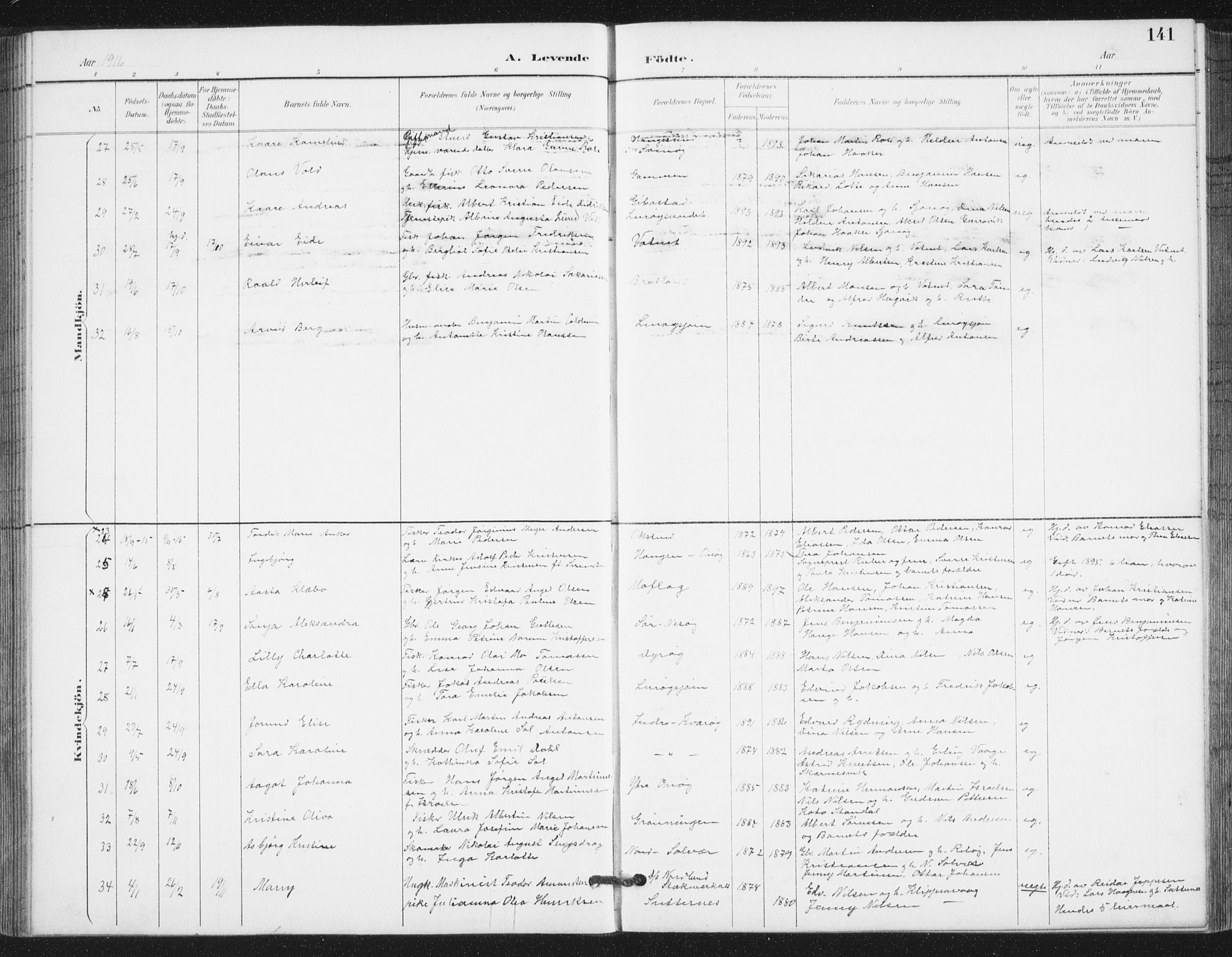 Ministerialprotokoller, klokkerbøker og fødselsregistre - Nordland, AV/SAT-A-1459/839/L0573: Parish register (copy) no. 839C03, 1892-1917, p. 141