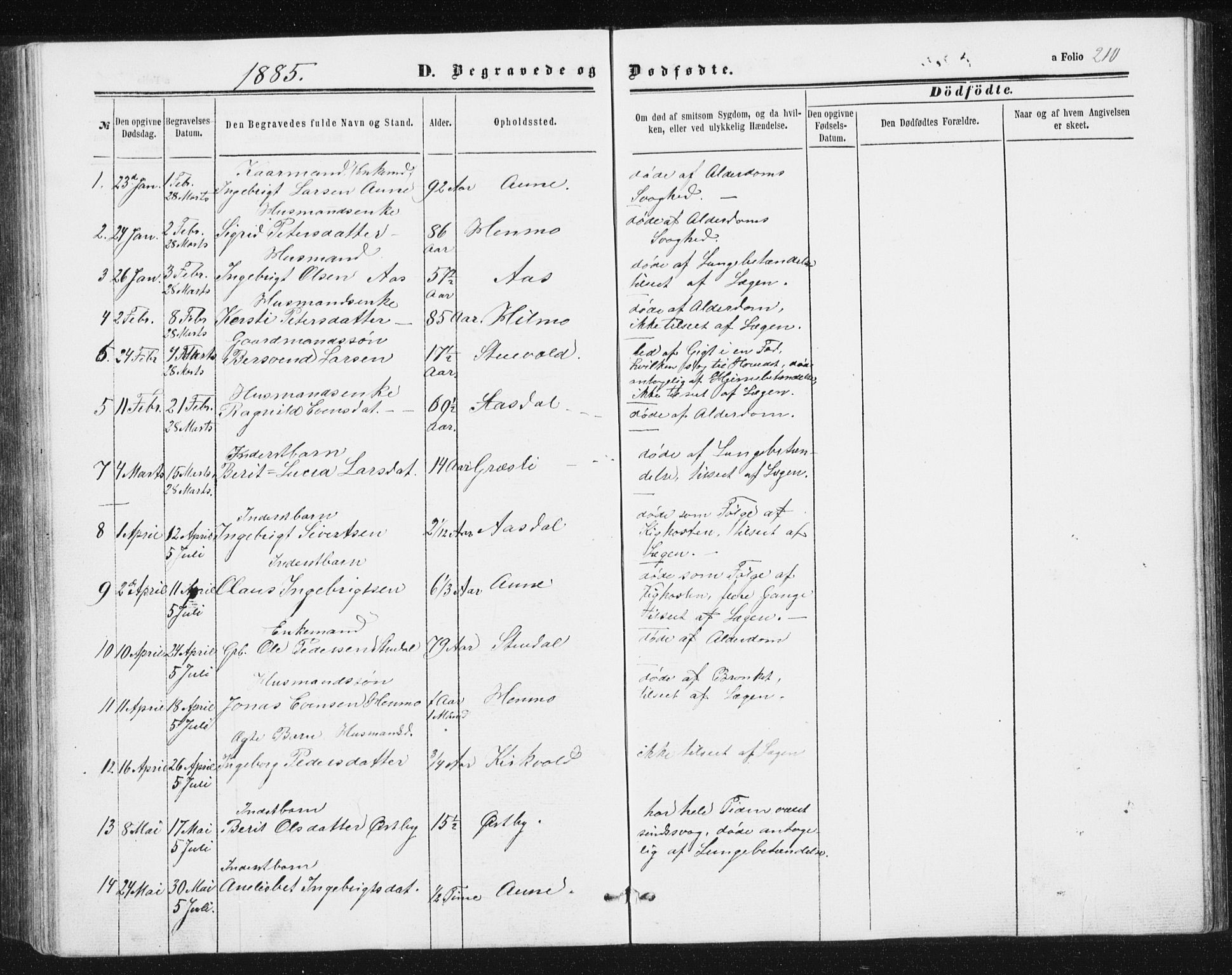 Ministerialprotokoller, klokkerbøker og fødselsregistre - Sør-Trøndelag, SAT/A-1456/698/L1166: Parish register (copy) no. 698C03, 1861-1887, p. 210