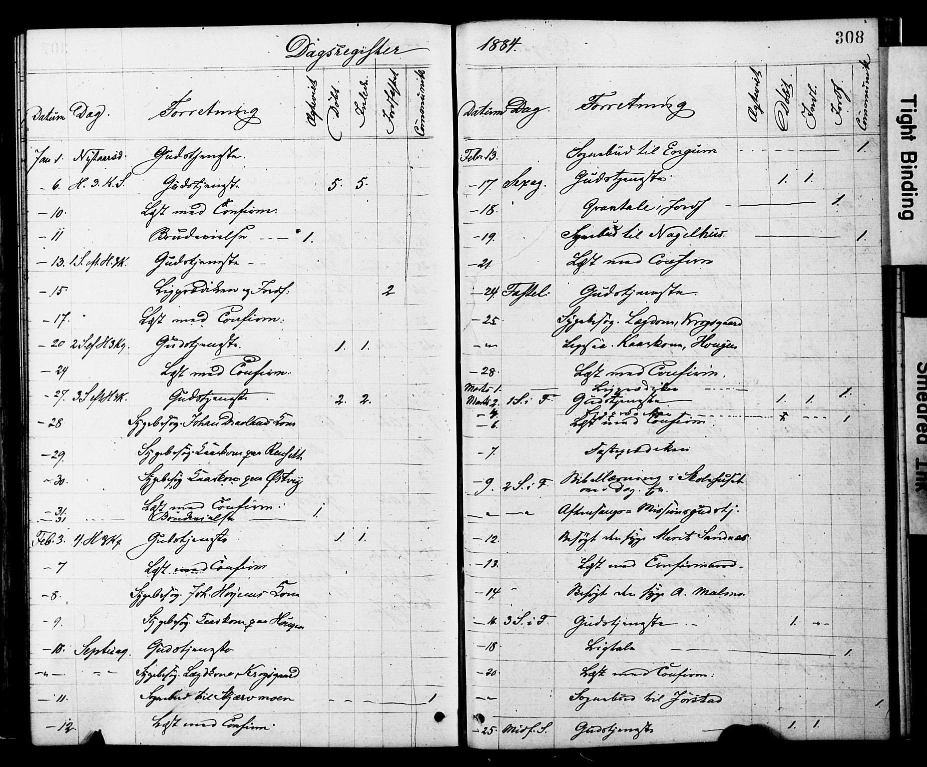 Ministerialprotokoller, klokkerbøker og fødselsregistre - Nord-Trøndelag, SAT/A-1458/749/L0473: Parish register (official) no. 749A07, 1873-1887, p. 308