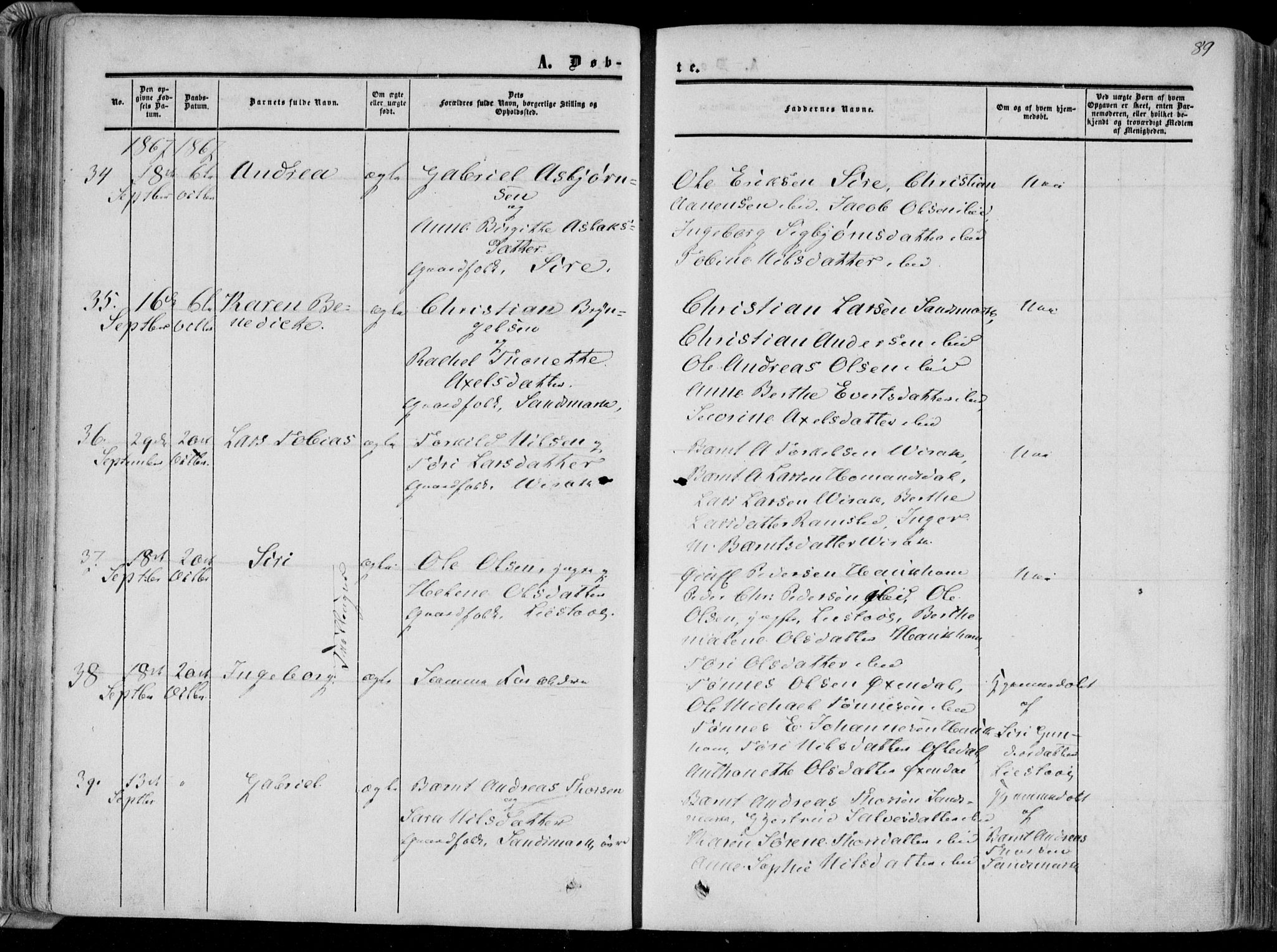 Bakke sokneprestkontor, AV/SAK-1111-0002/F/Fa/Faa/L0006: Parish register (official) no. A 6, 1855-1877, p. 89