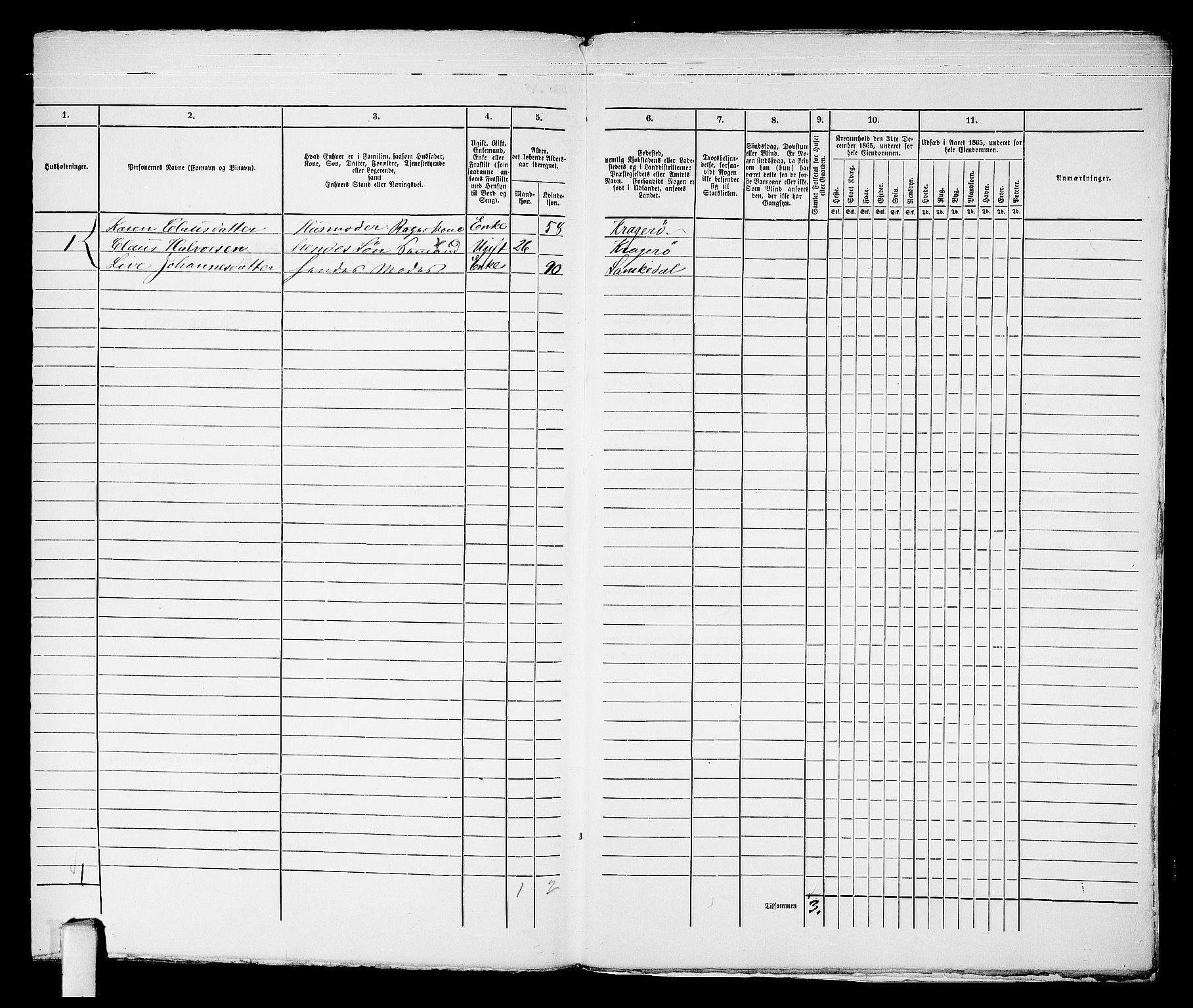 RA, 1865 census for Kragerø/Kragerø, 1865, p. 607