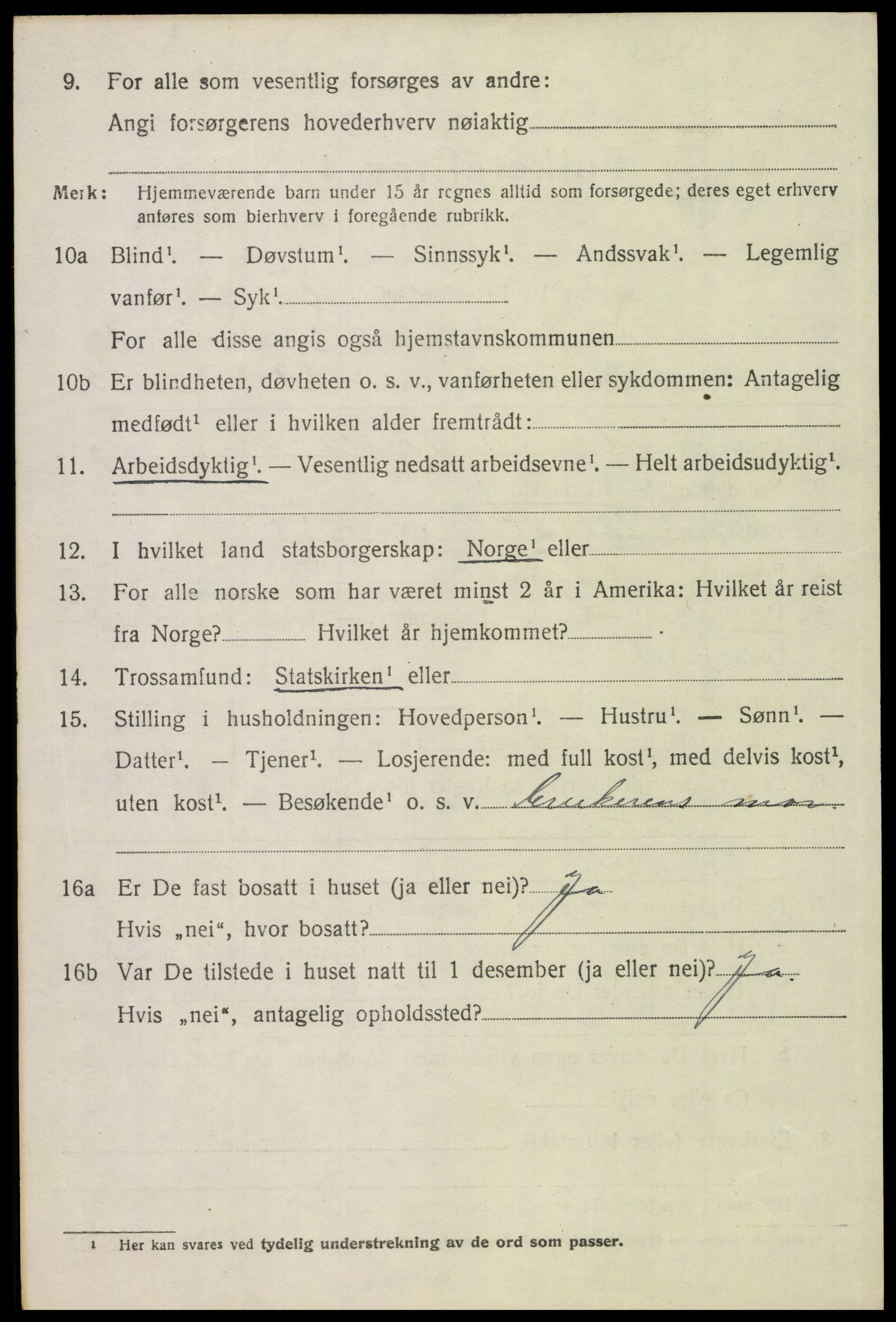 SAH, 1920 census for Tynset, 1920, p. 7985