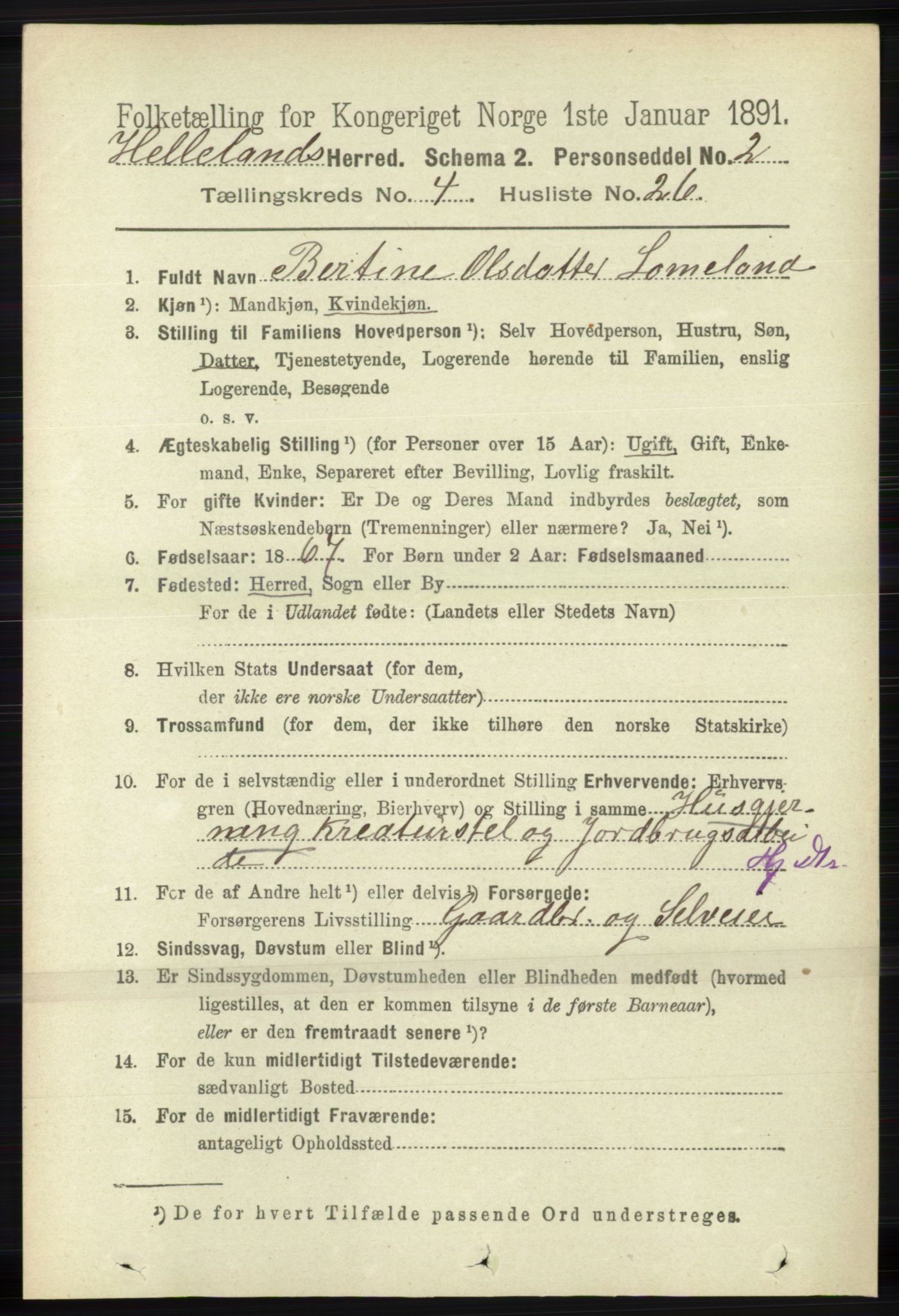 RA, 1891 census for 1115 Helleland, 1891, p. 1317