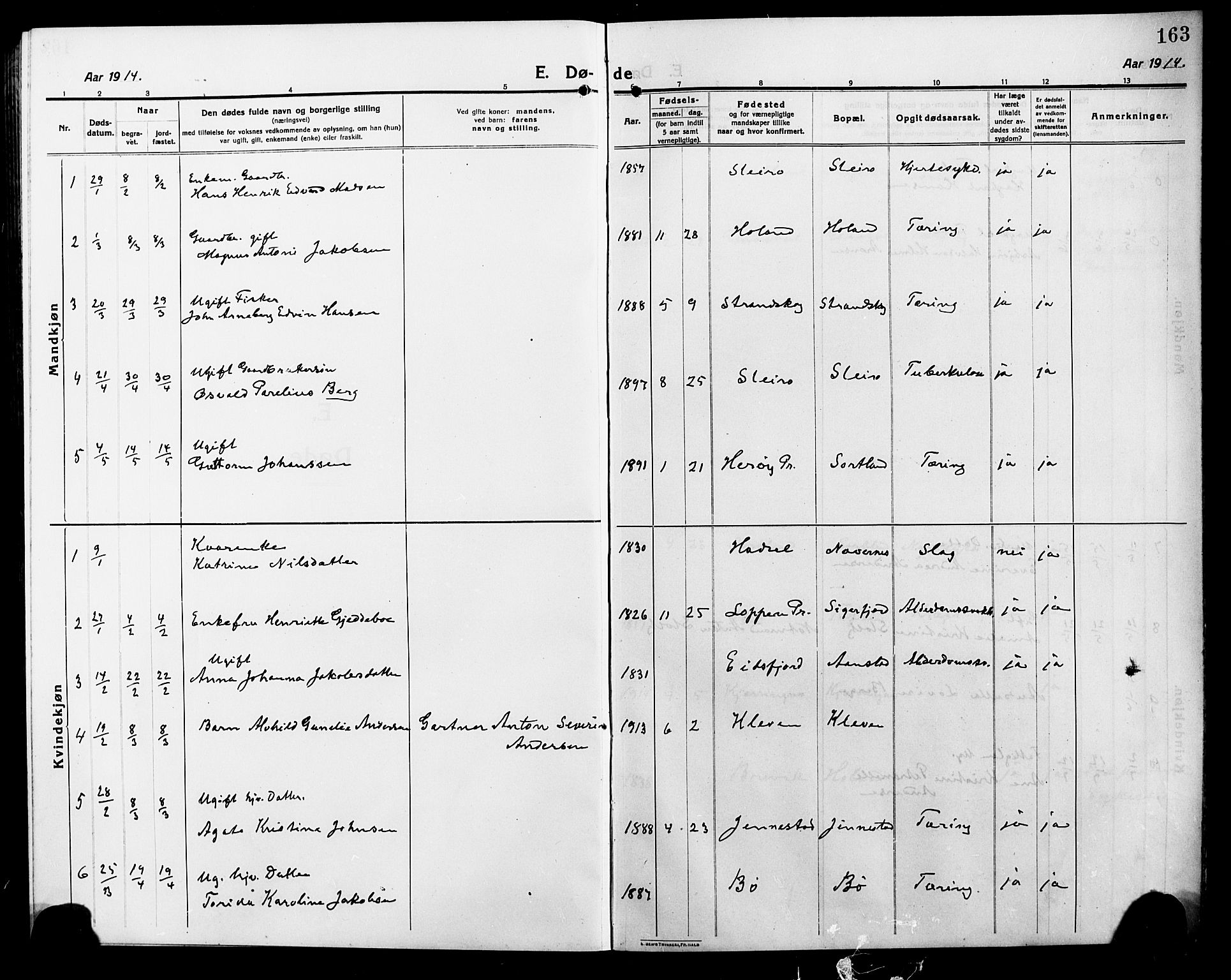 Ministerialprotokoller, klokkerbøker og fødselsregistre - Nordland, SAT/A-1459/895/L1383: Parish register (copy) no. 895C05, 1913-1922, p. 163