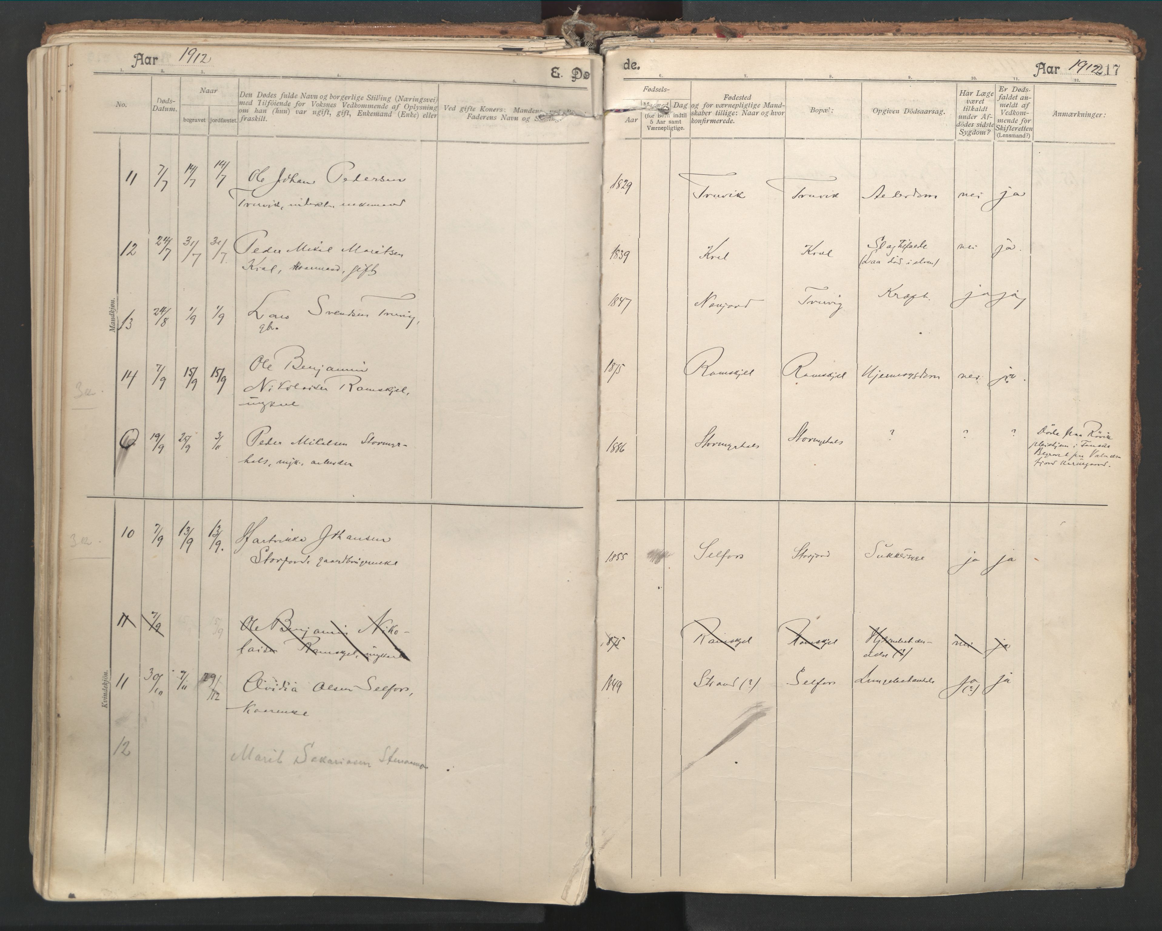 Ministerialprotokoller, klokkerbøker og fødselsregistre - Nordland, SAT/A-1459/846/L0647: Parish register (official) no. 846A05, 1902-1915, p. 217