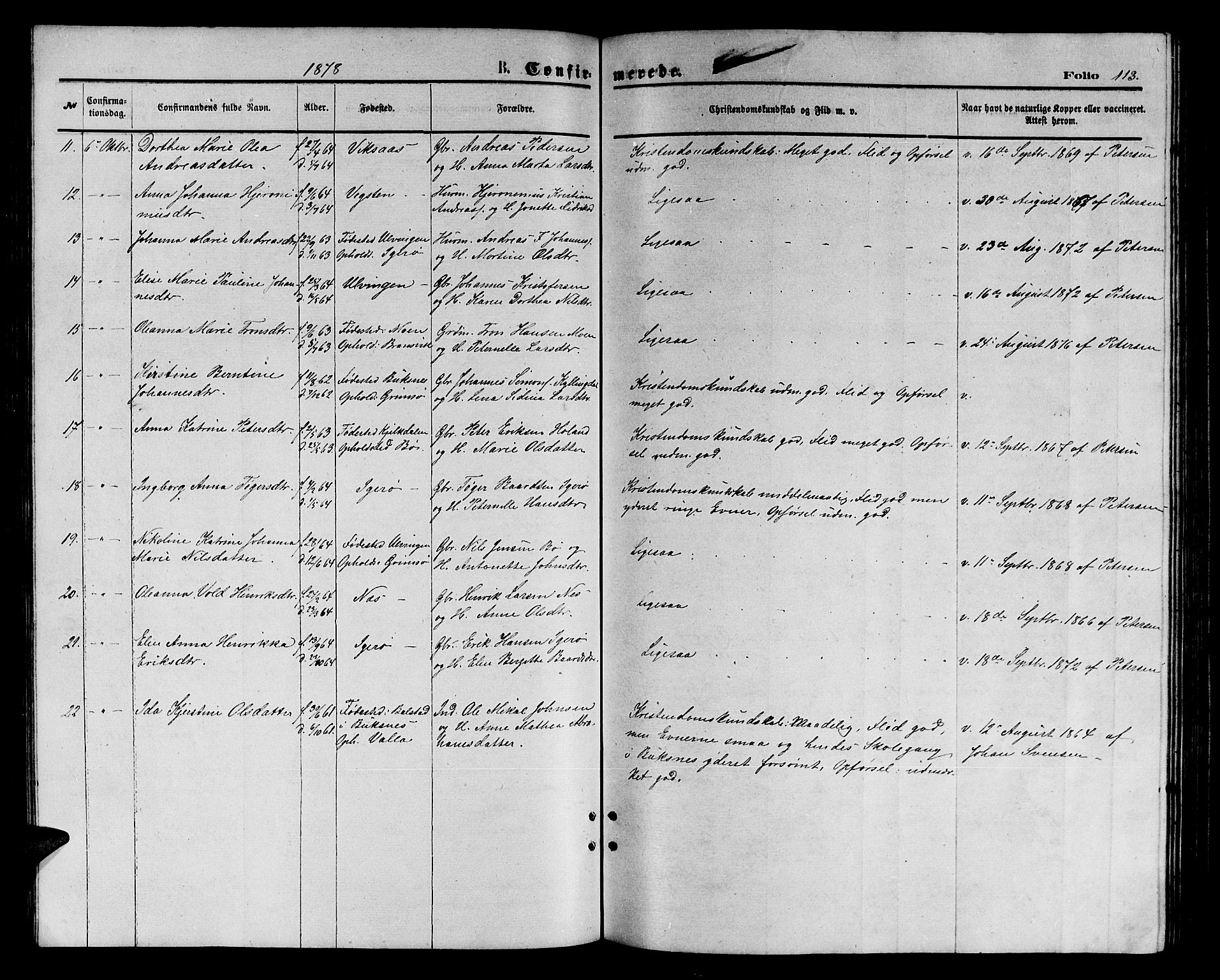 Ministerialprotokoller, klokkerbøker og fødselsregistre - Nordland, AV/SAT-A-1459/816/L0252: Parish register (copy) no. 816C02, 1871-1885, p. 113