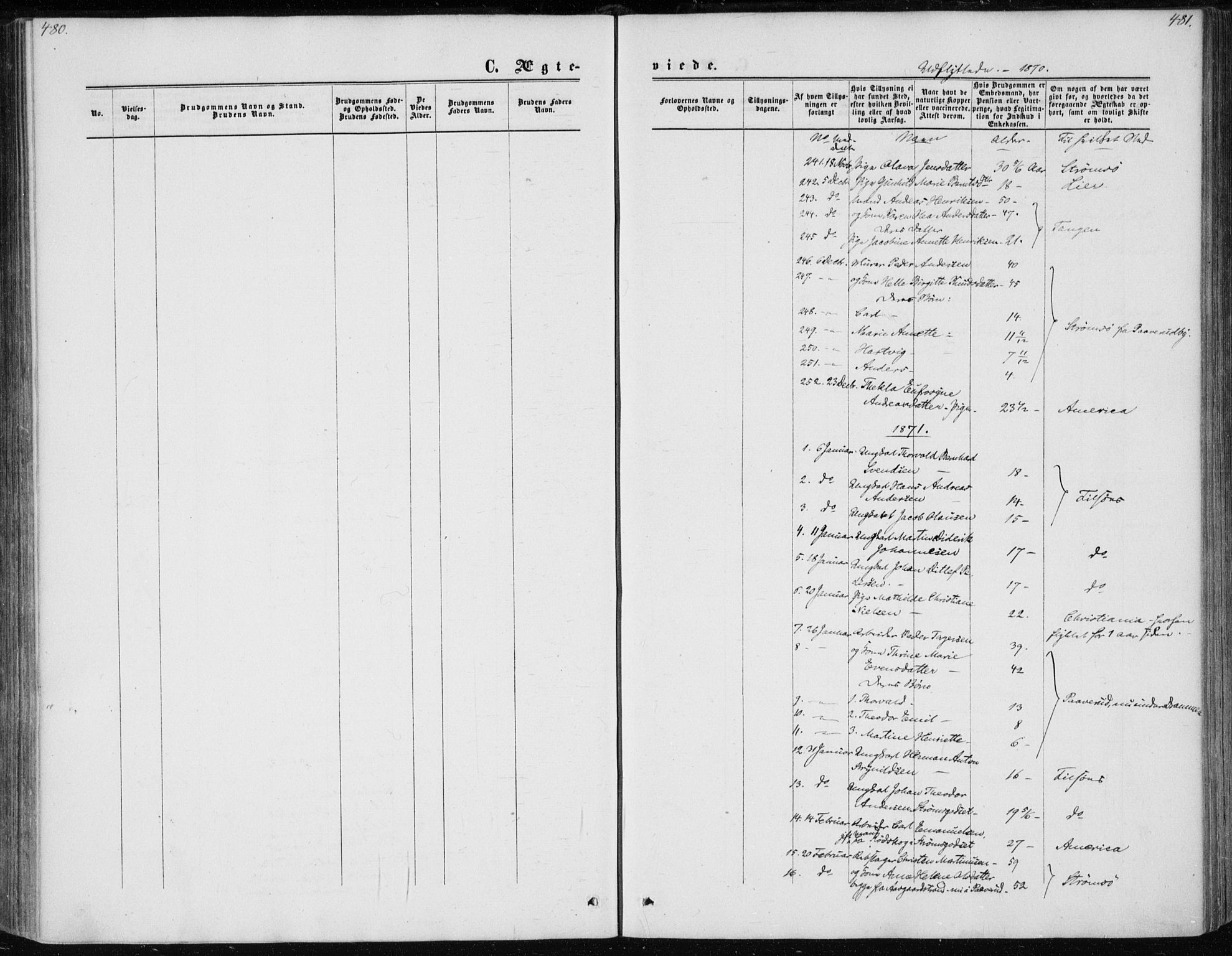 Skoger kirkebøker, AV/SAKO-A-59/F/Fa/L0004: Parish register (official) no. I 4, 1862-1872, p. 480-481